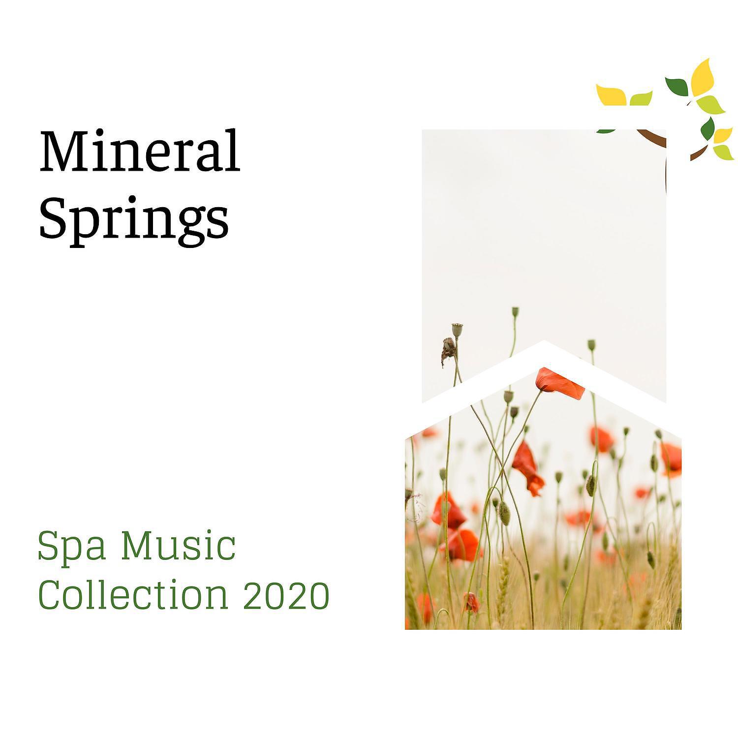 Постер альбома Mineral Springs - Spa Music Collection 2020