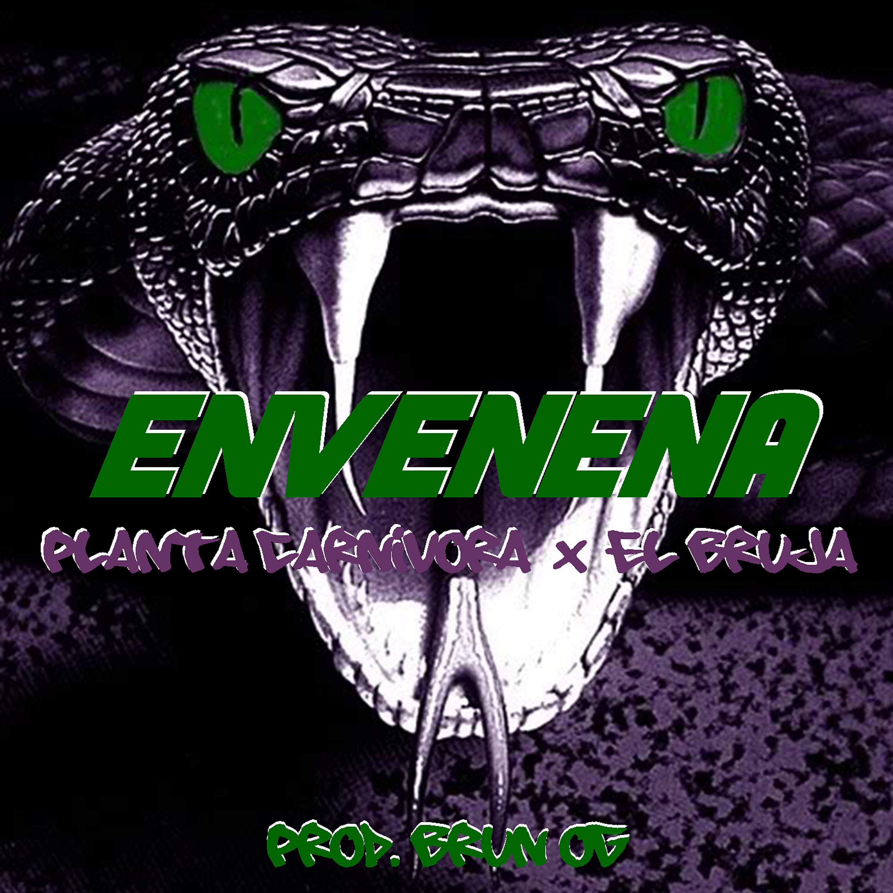 Постер альбома Envenena