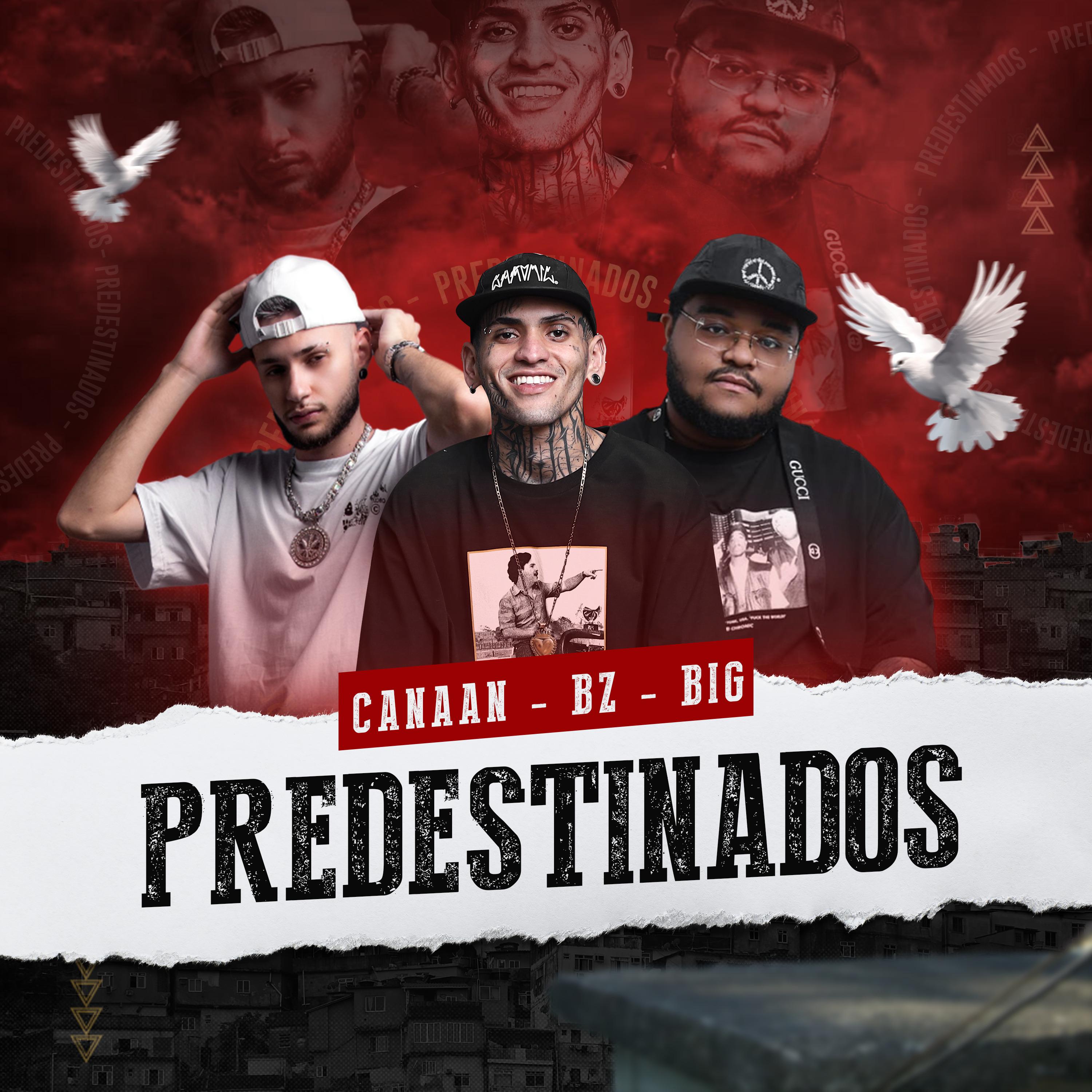 Постер альбома Predestinados