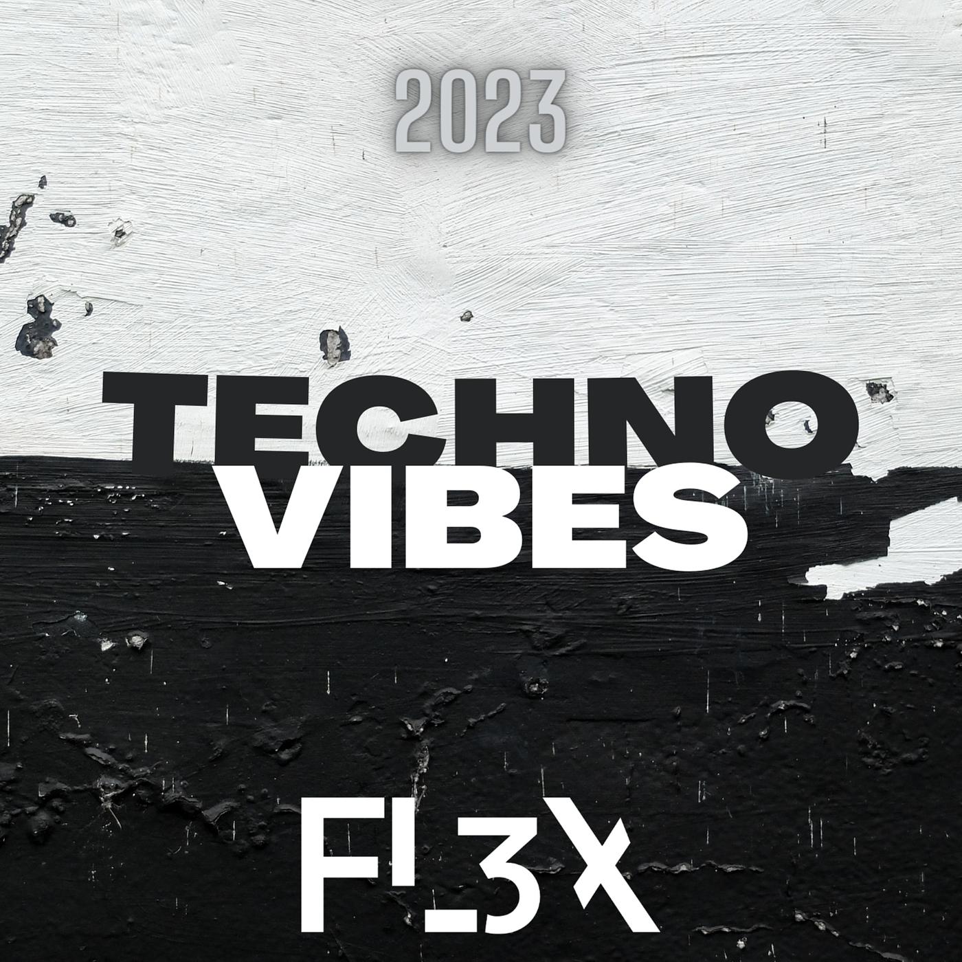 Постер альбома Techno Vibes