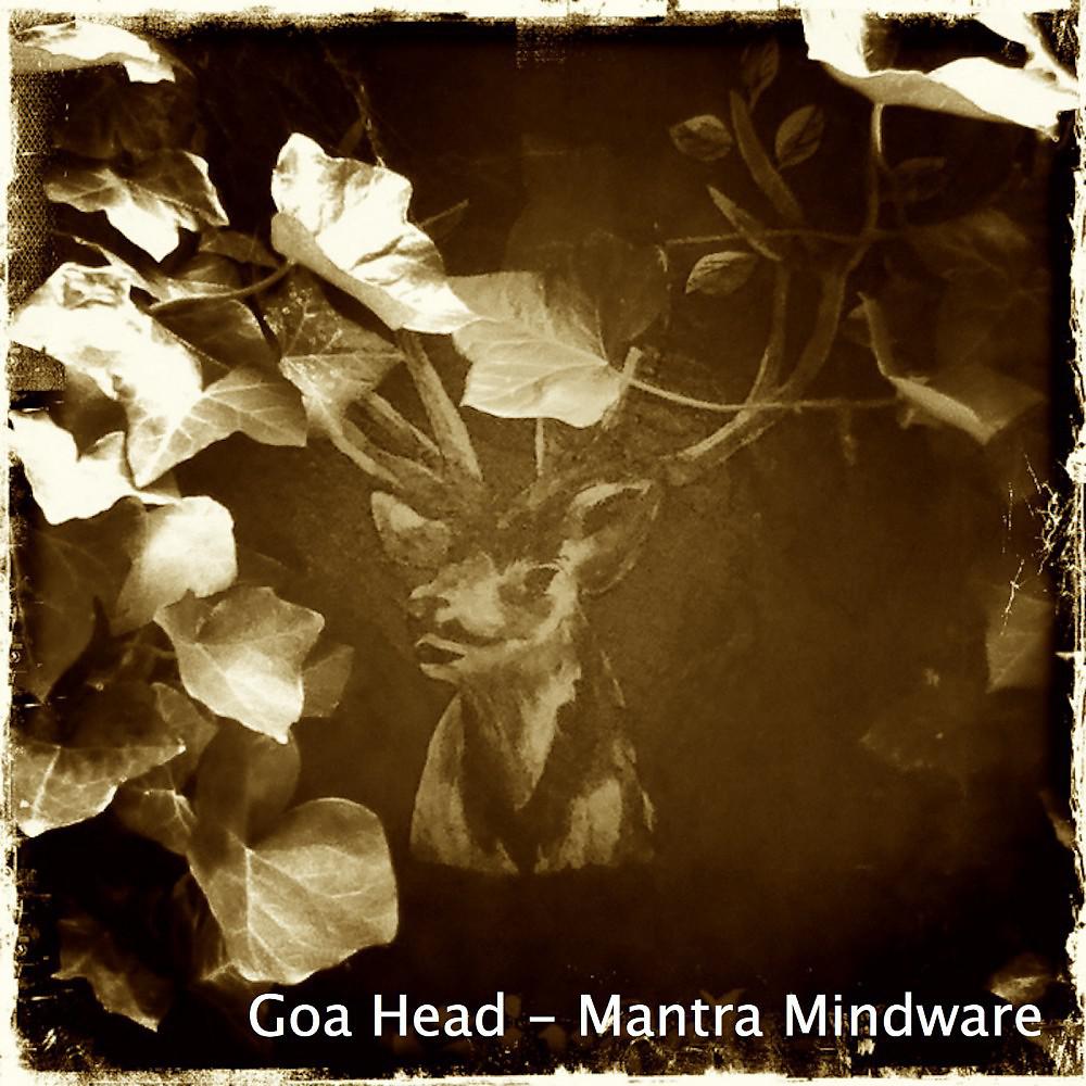 Постер альбома Goa Head