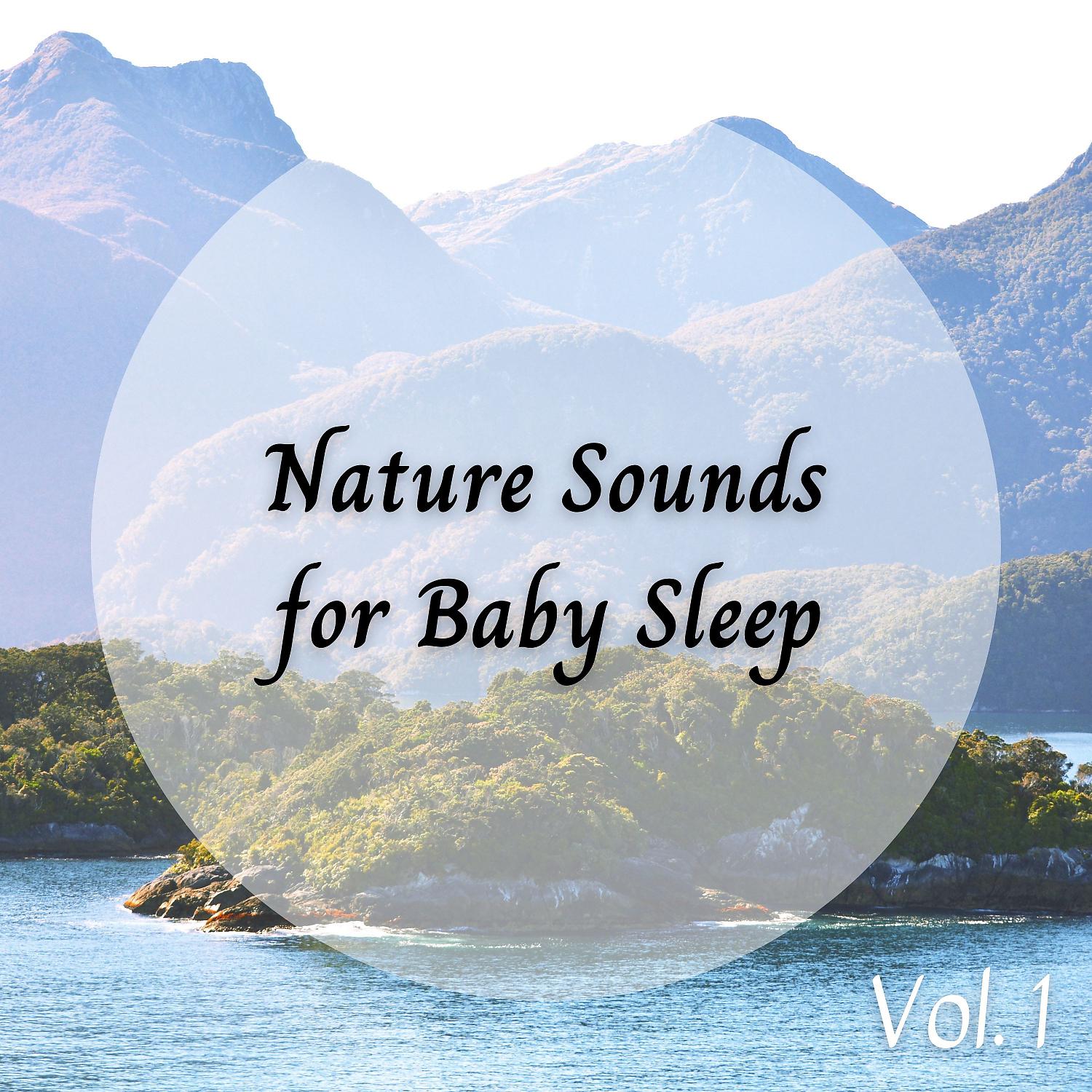 Постер альбома Nature Sounds for Baby Sleep Vol. 1