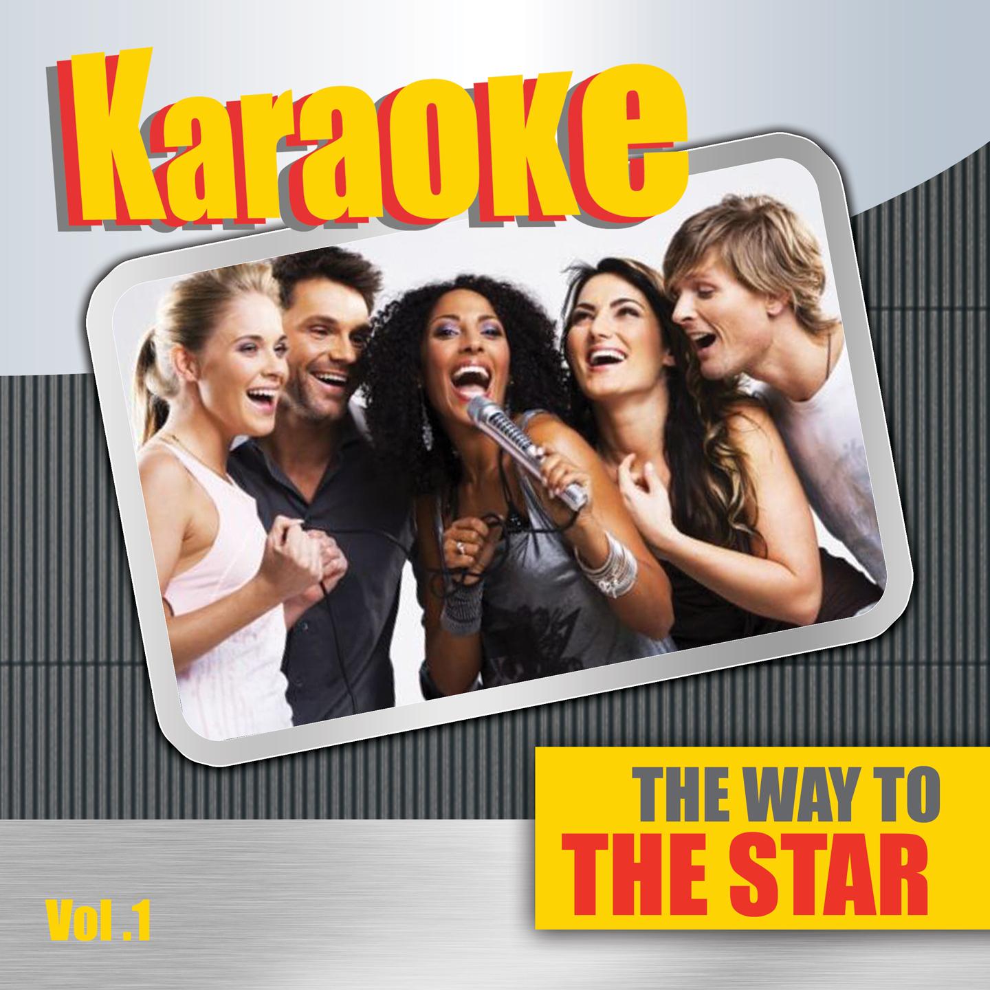 Постер альбома Karaoke the Way to the Star, Vol. 1