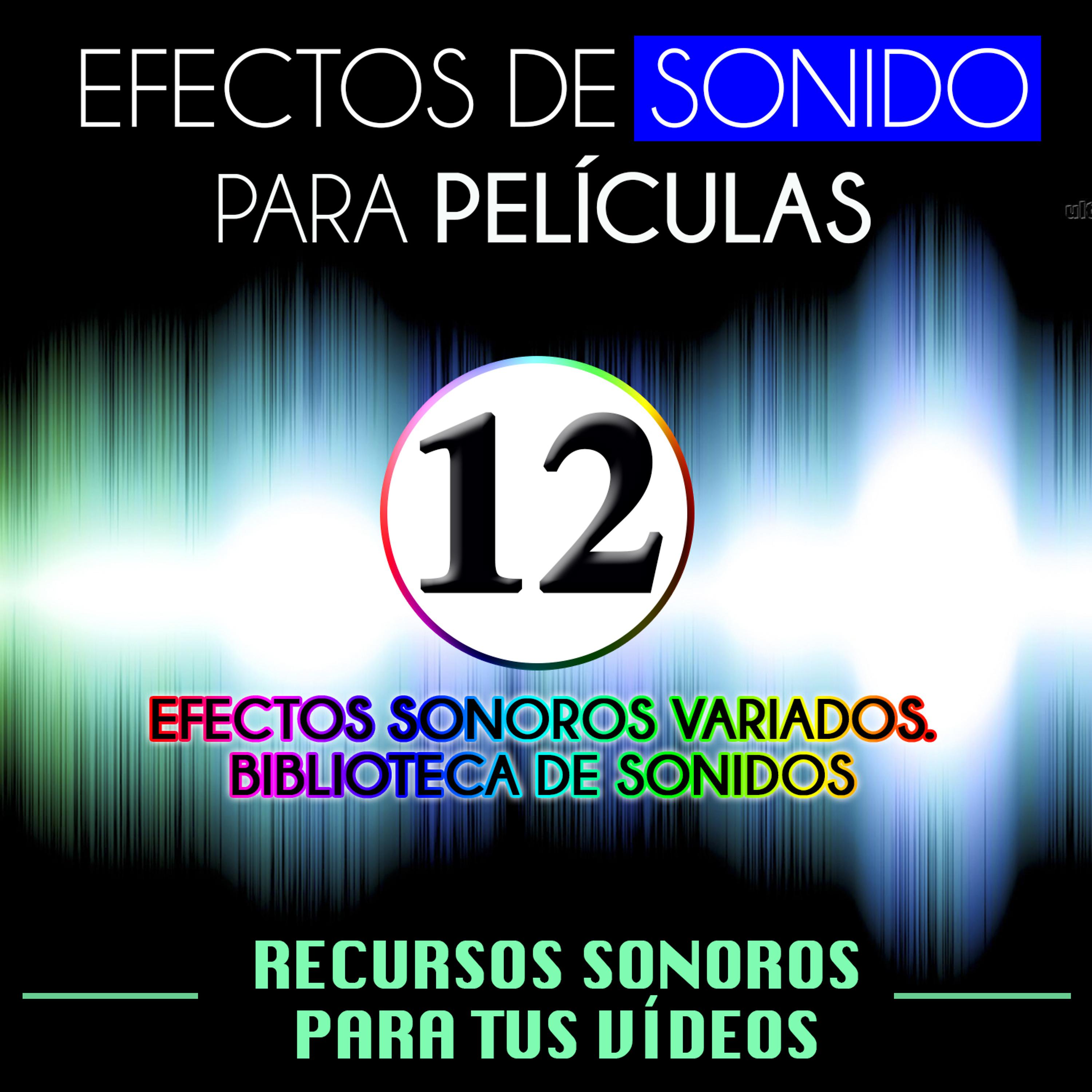 Постер альбома Efectos de Sonido para Películas. Recursos Sonoros para Tus Videos Vol. 12 Efectos Sonoros Variados. Biblioteca de Sonidos