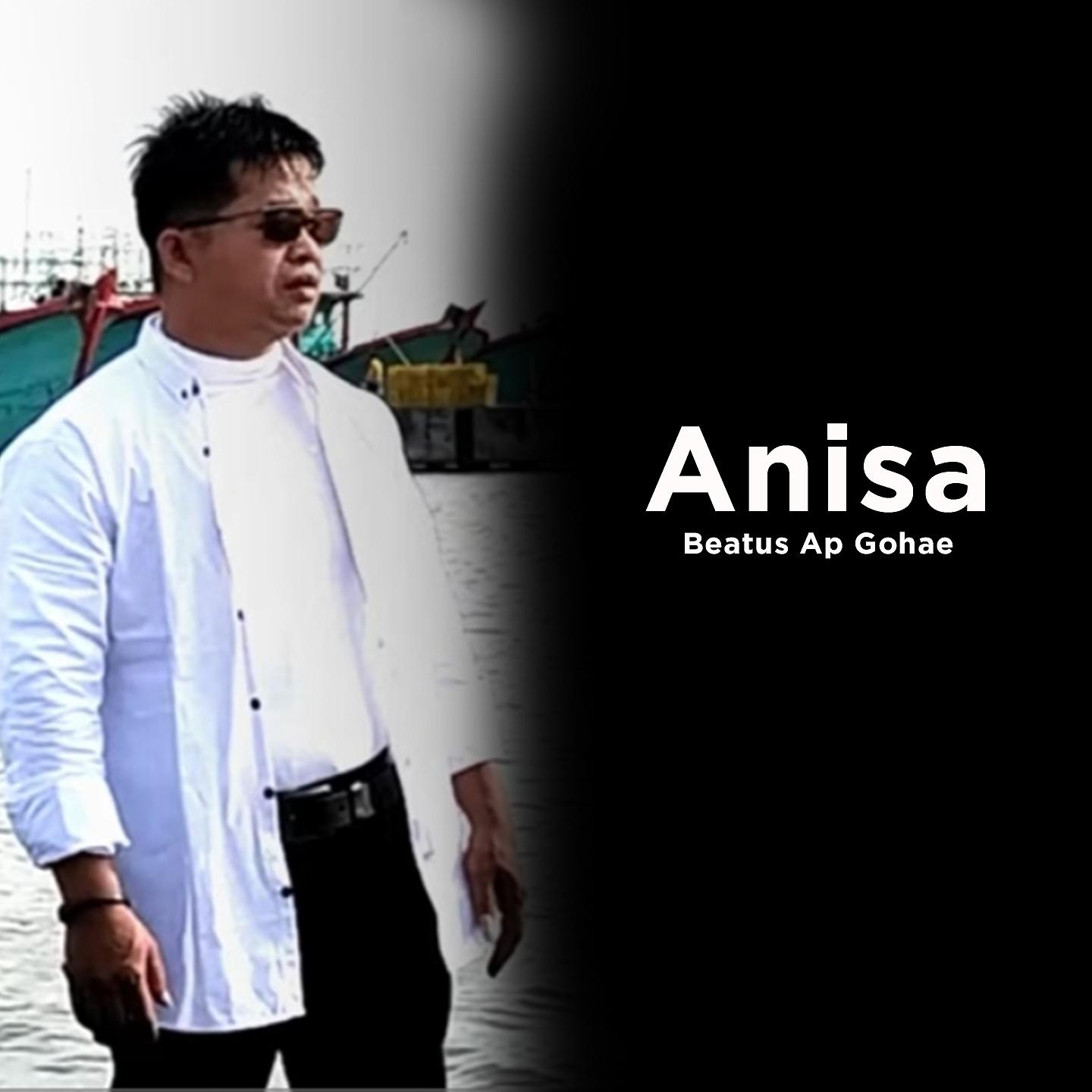 Постер альбома Anisa