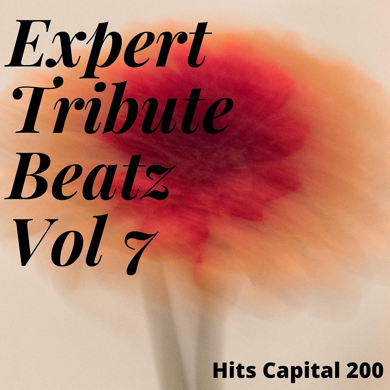 Постер альбома Expert Tribute Beatz Vol 7
