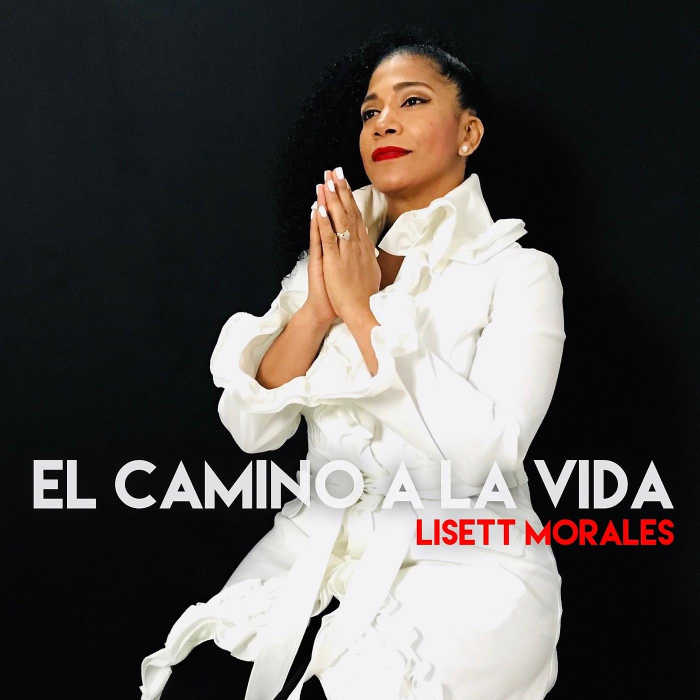 Постер альбома El Camino a La Vida