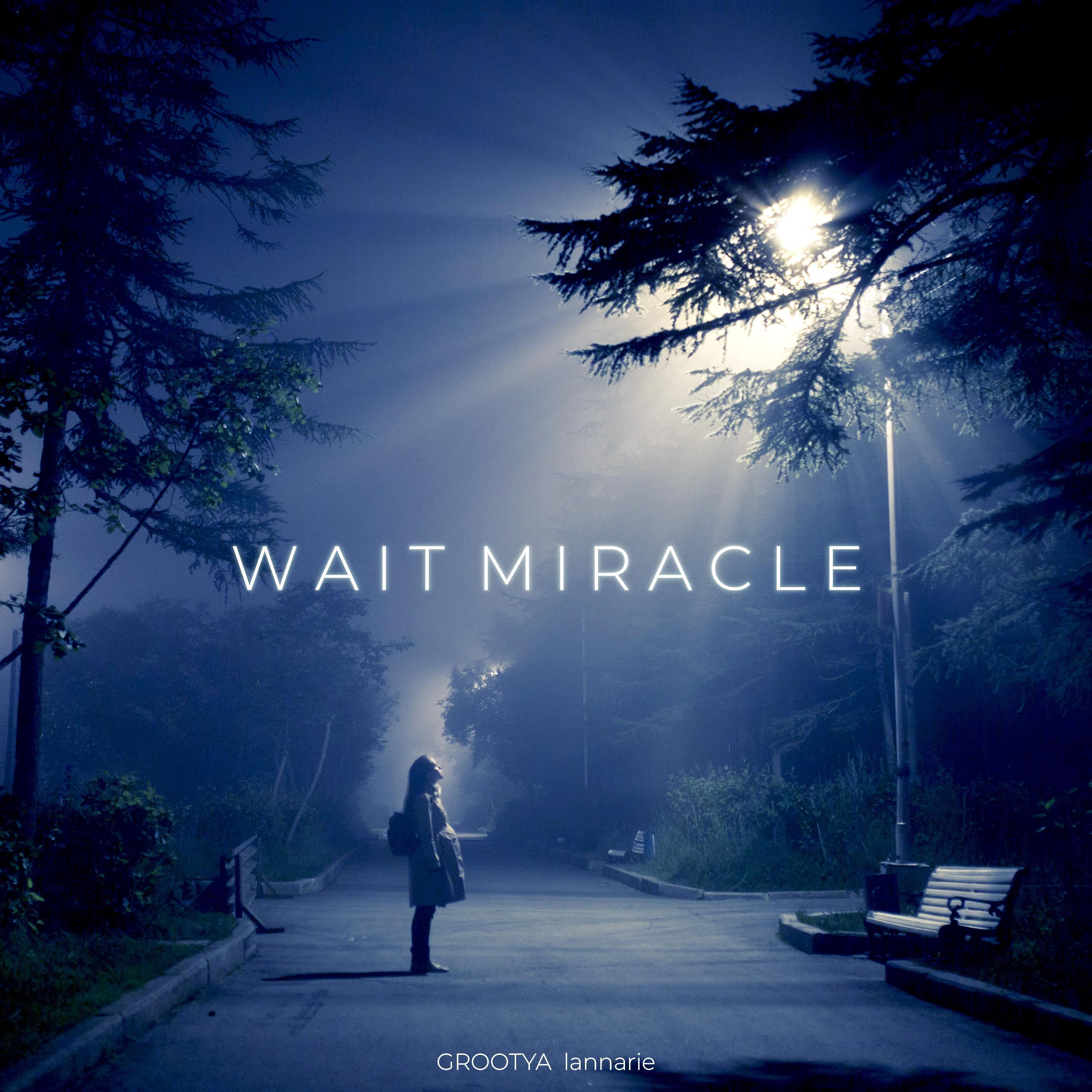 Постер альбома Wait Miracle