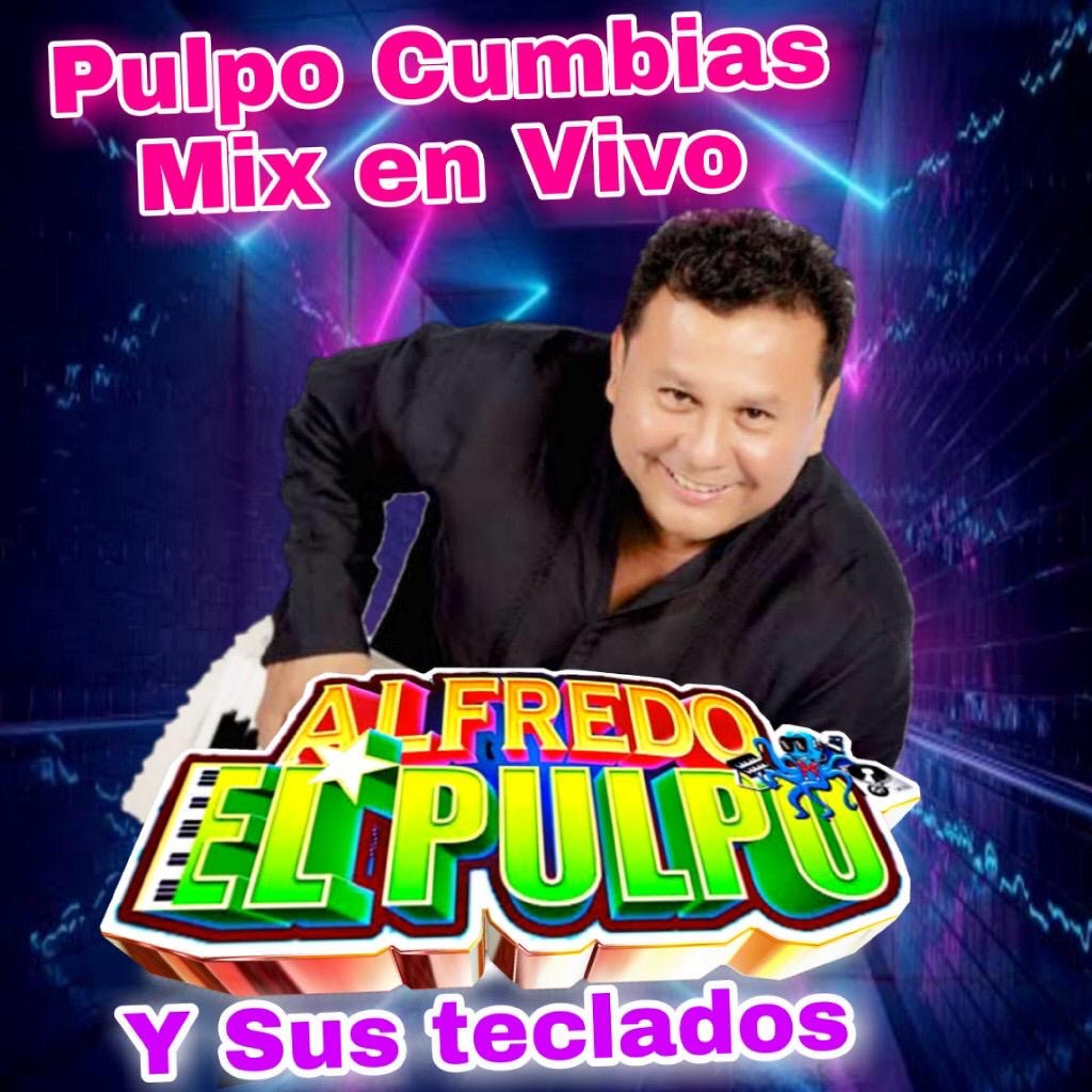 Постер альбома Pulpo Cumbias Mix (En Vivo)