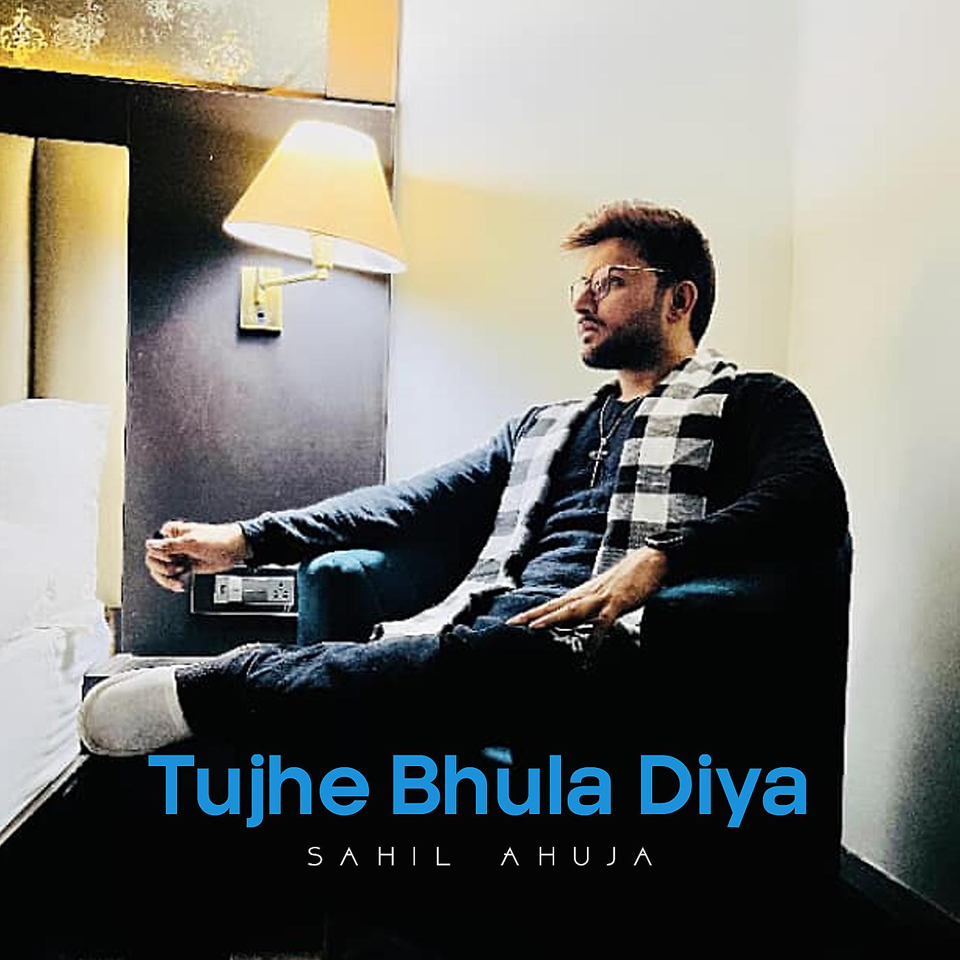 Постер альбома Tujhe Bhula Diya