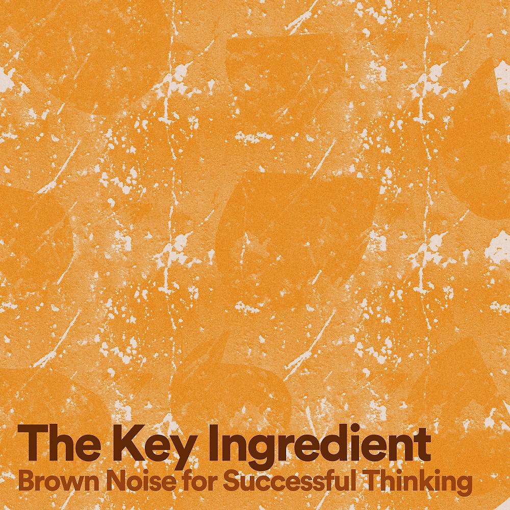 Постер альбома The Key Ingredient (Brown Noise for Successful Thinking)