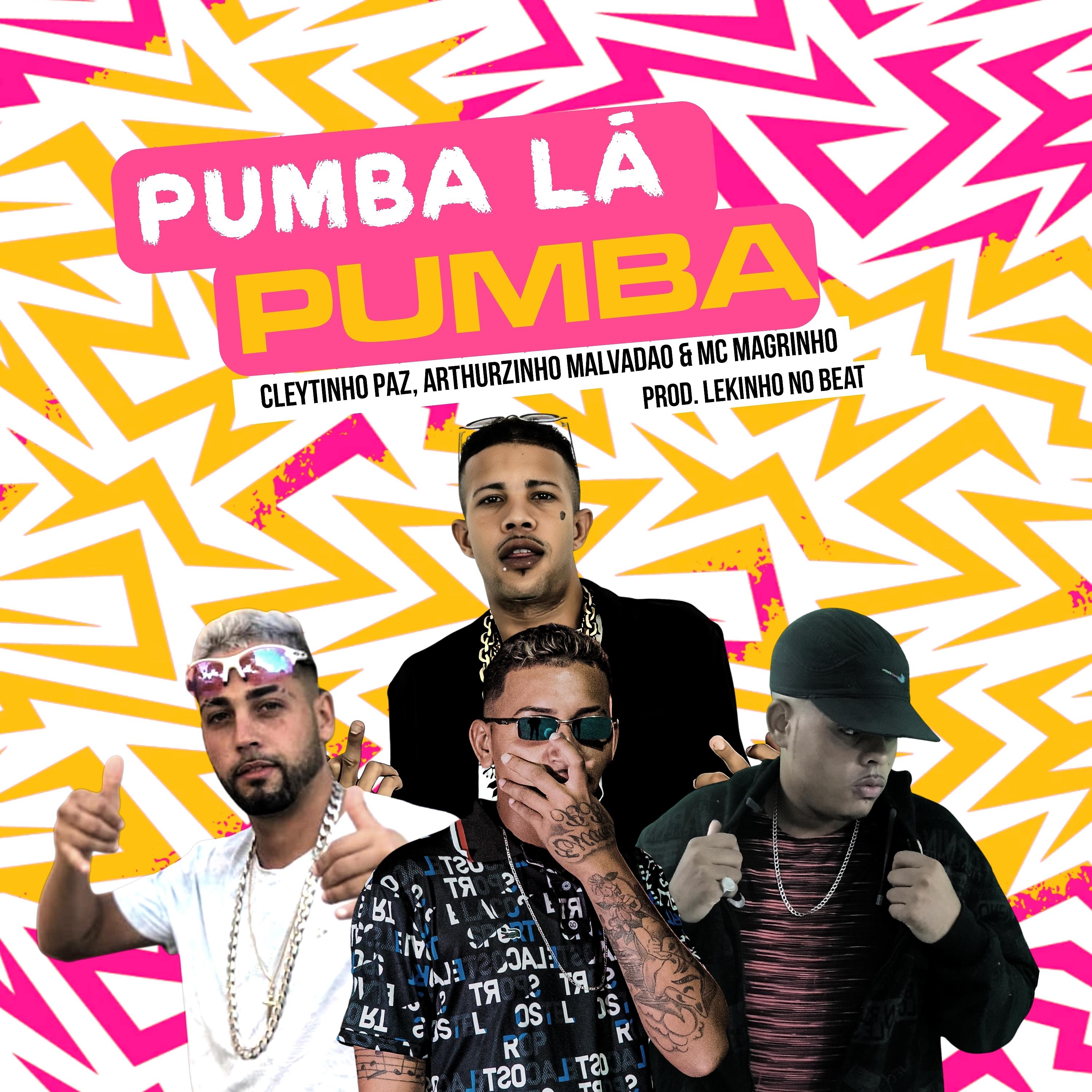 Постер альбома Pumba Lá Pumba