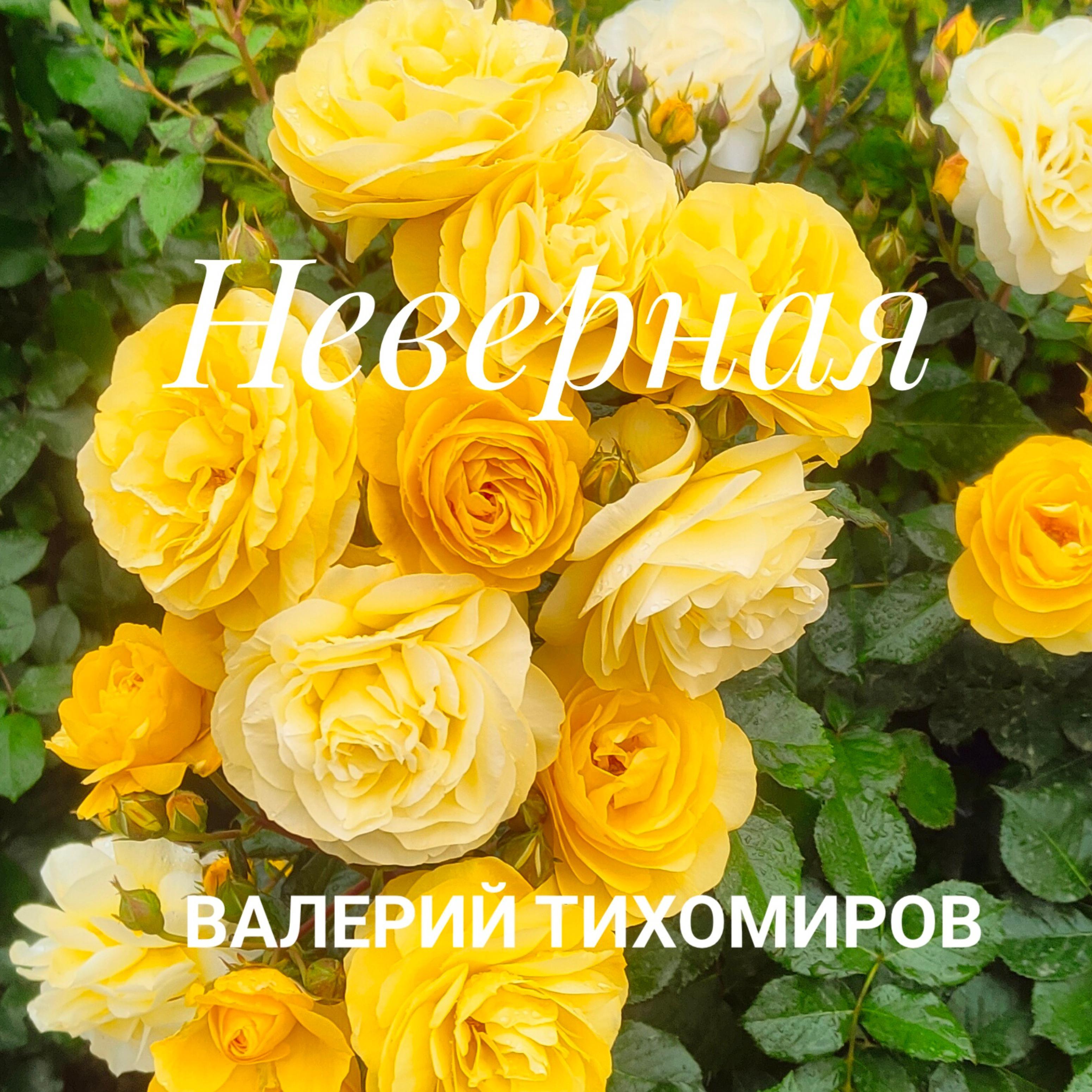 Постер альбома Неверная