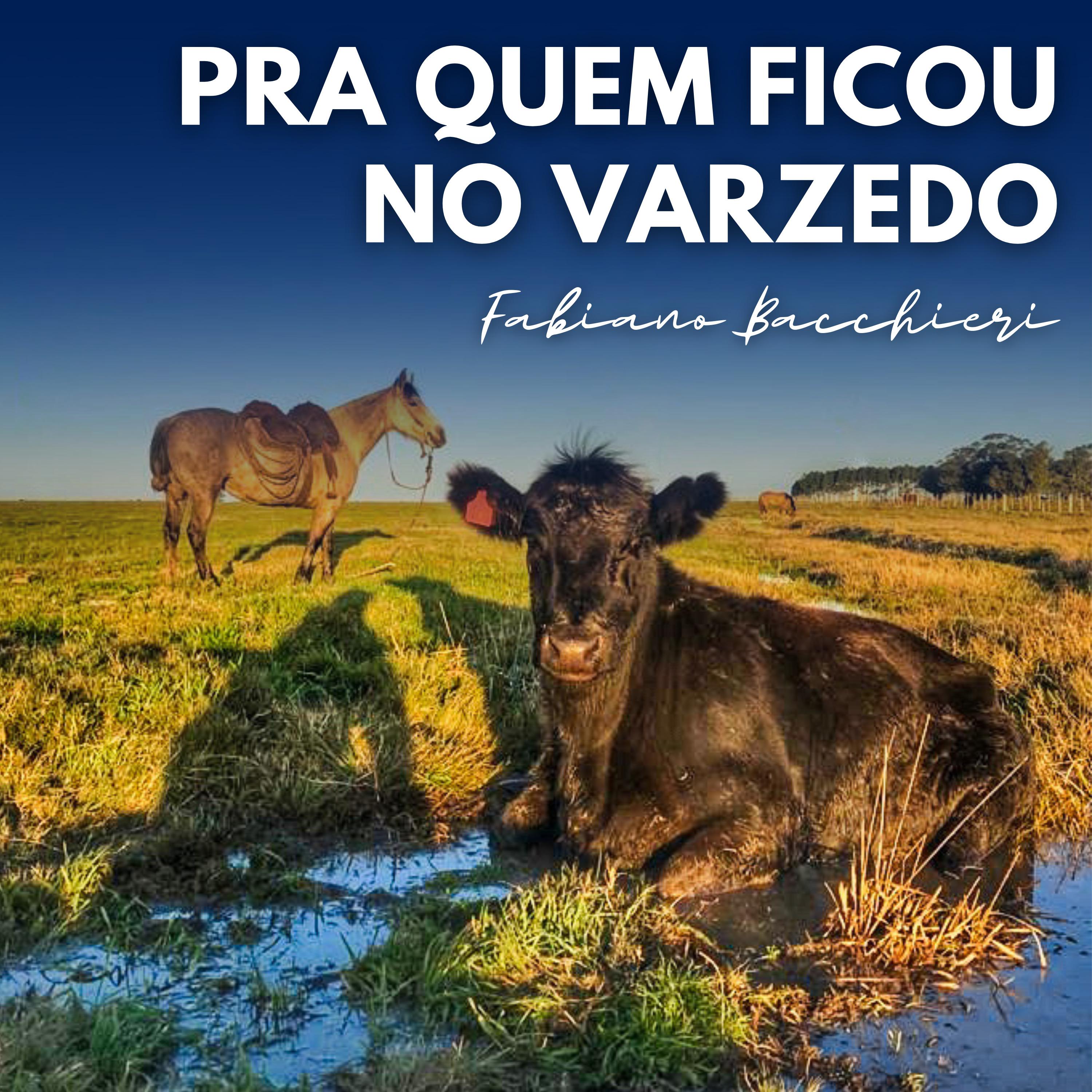 Постер альбома Pra Quem Ficou no Varzedo