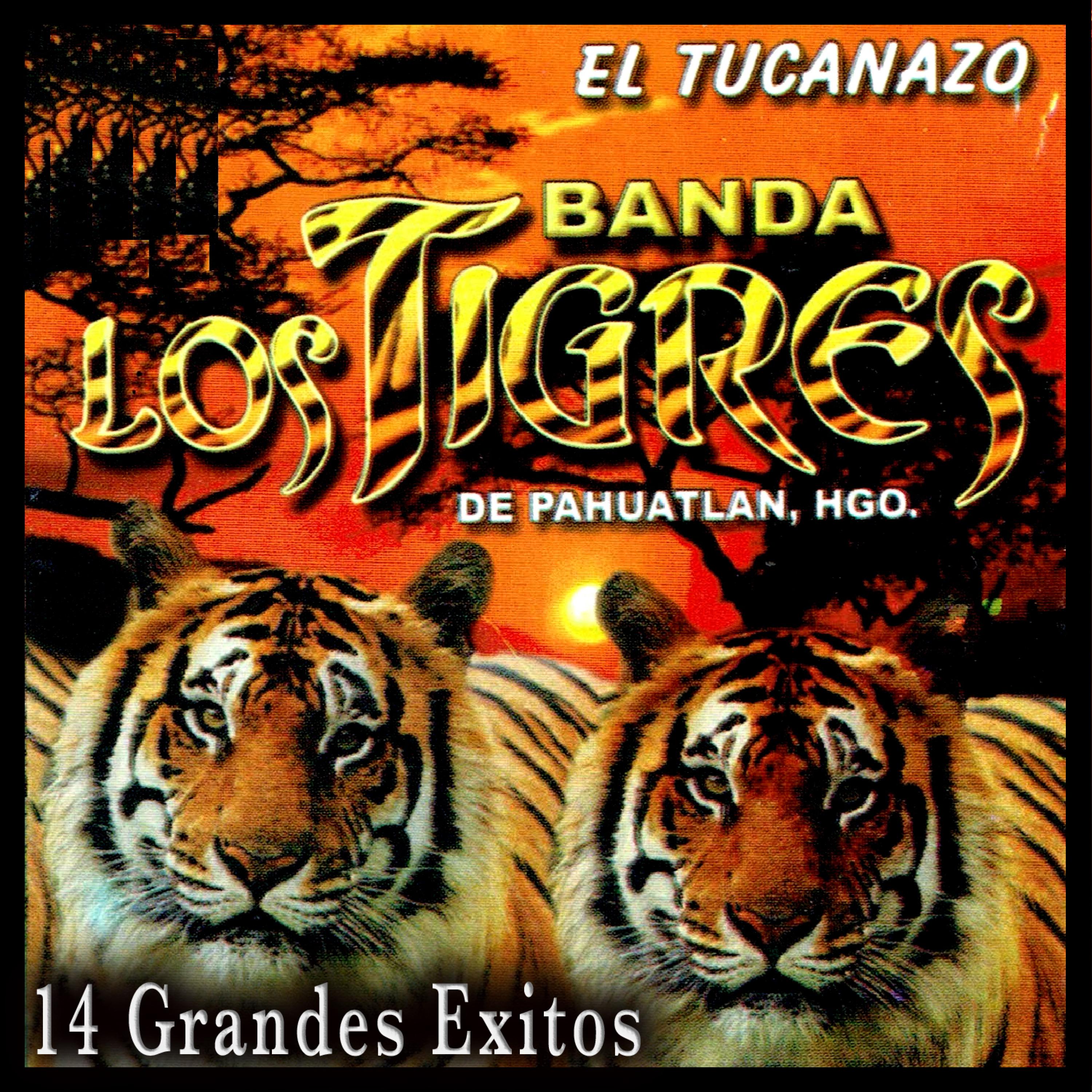 Постер альбома El Tucanazo