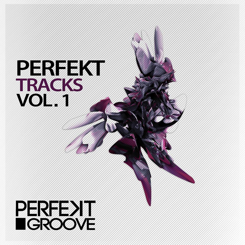 Постер альбома Perfekt Tracks Volume 1