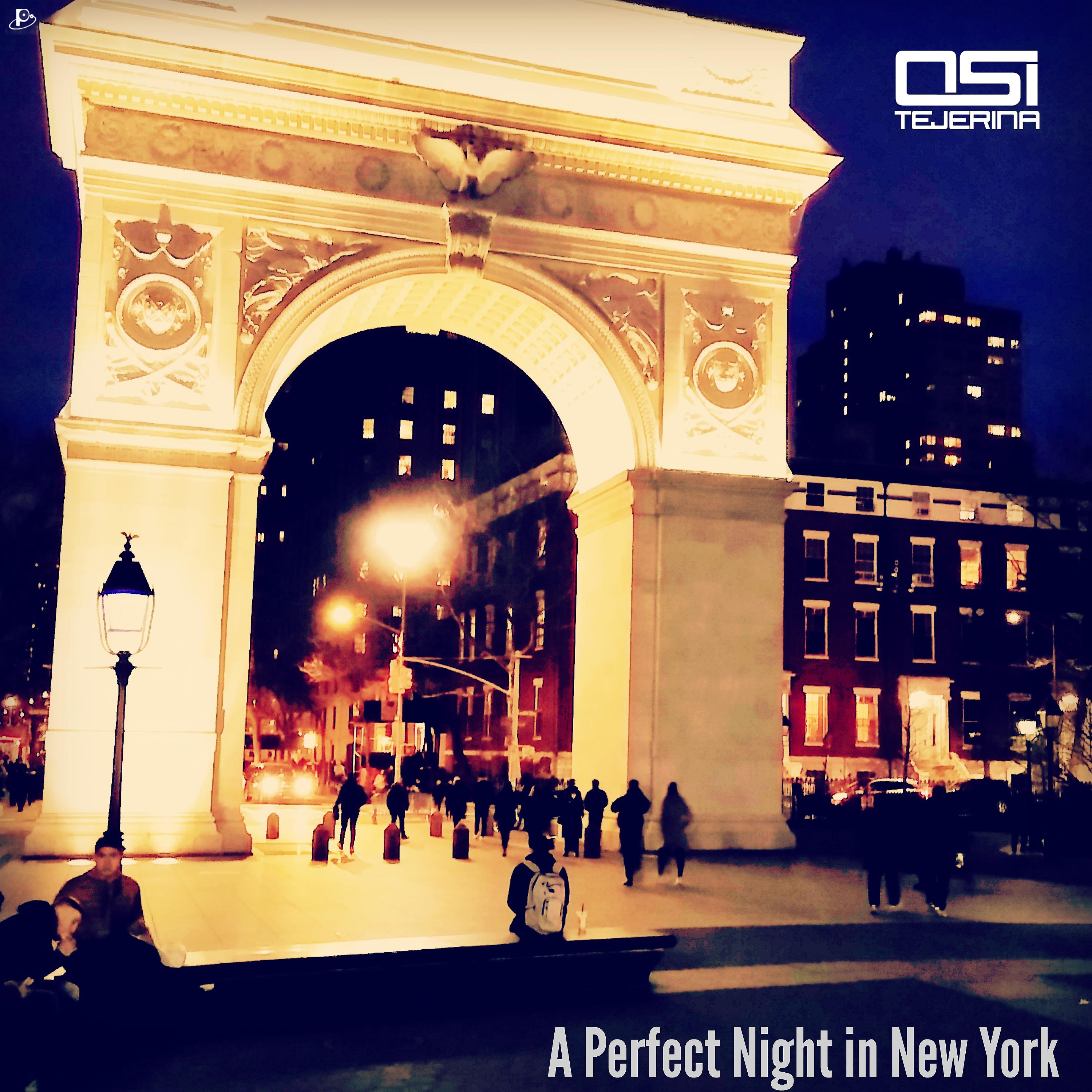 Постер альбома A Perfect Night in New York