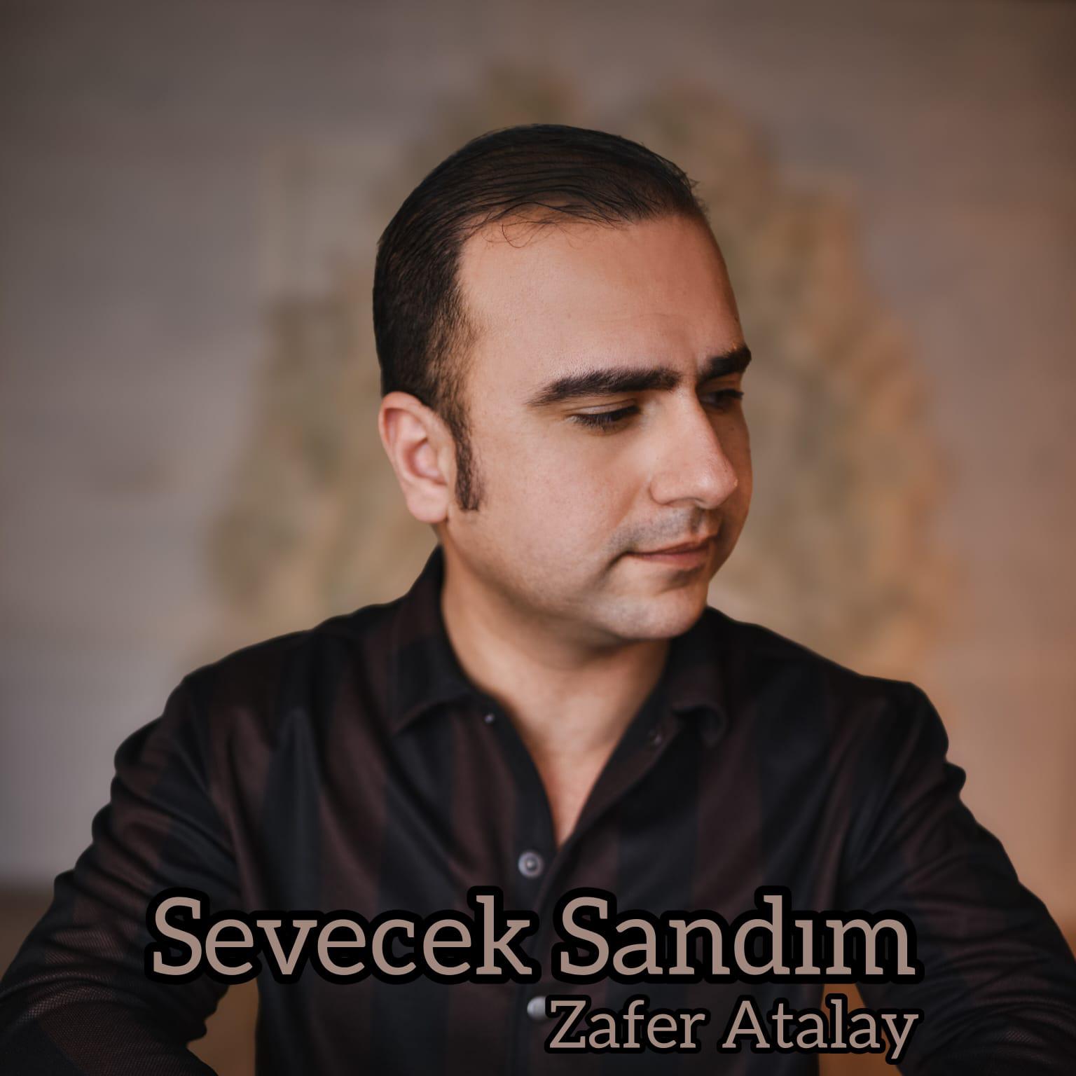 Постер альбома Sevecek Sandım