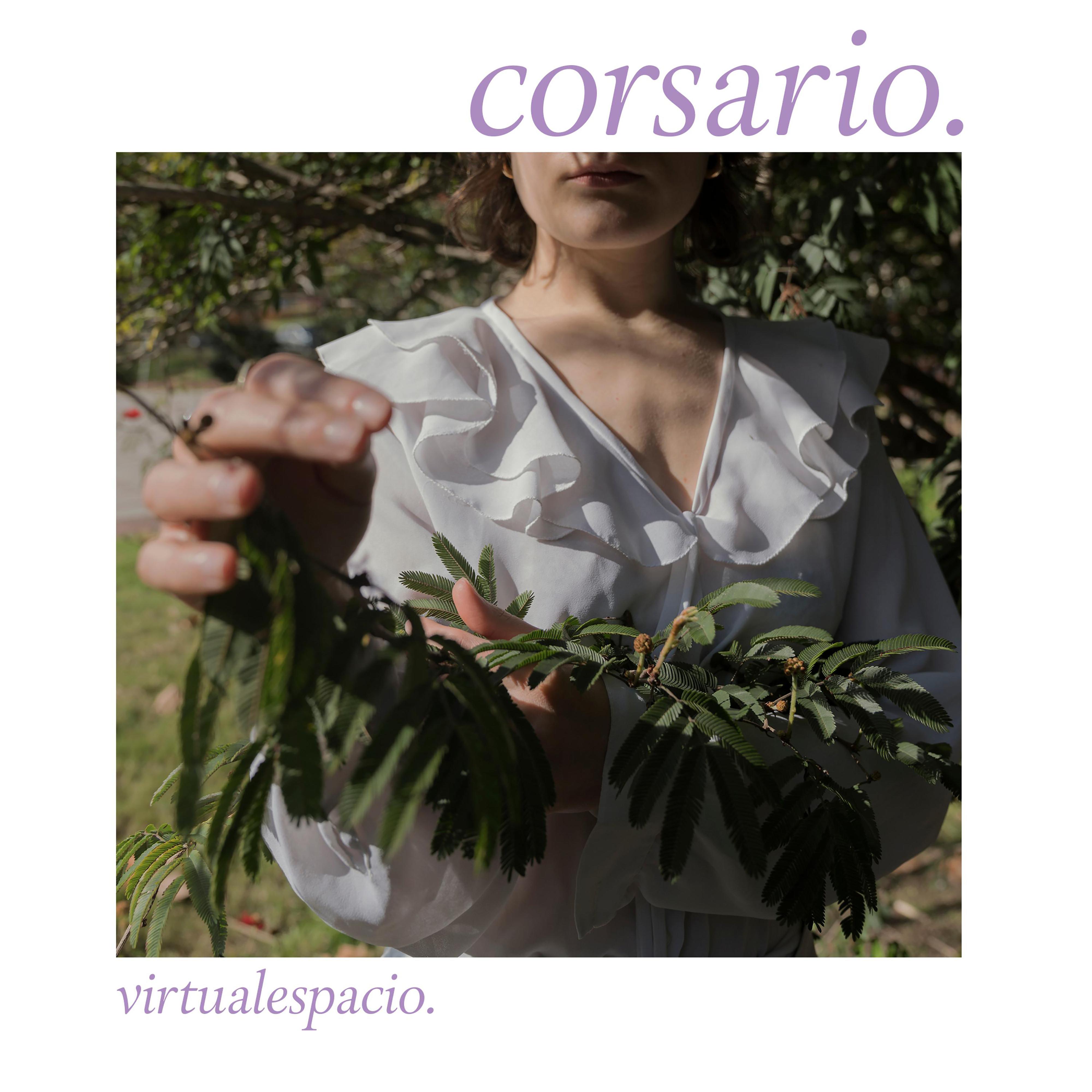 Постер альбома Virtualespacio