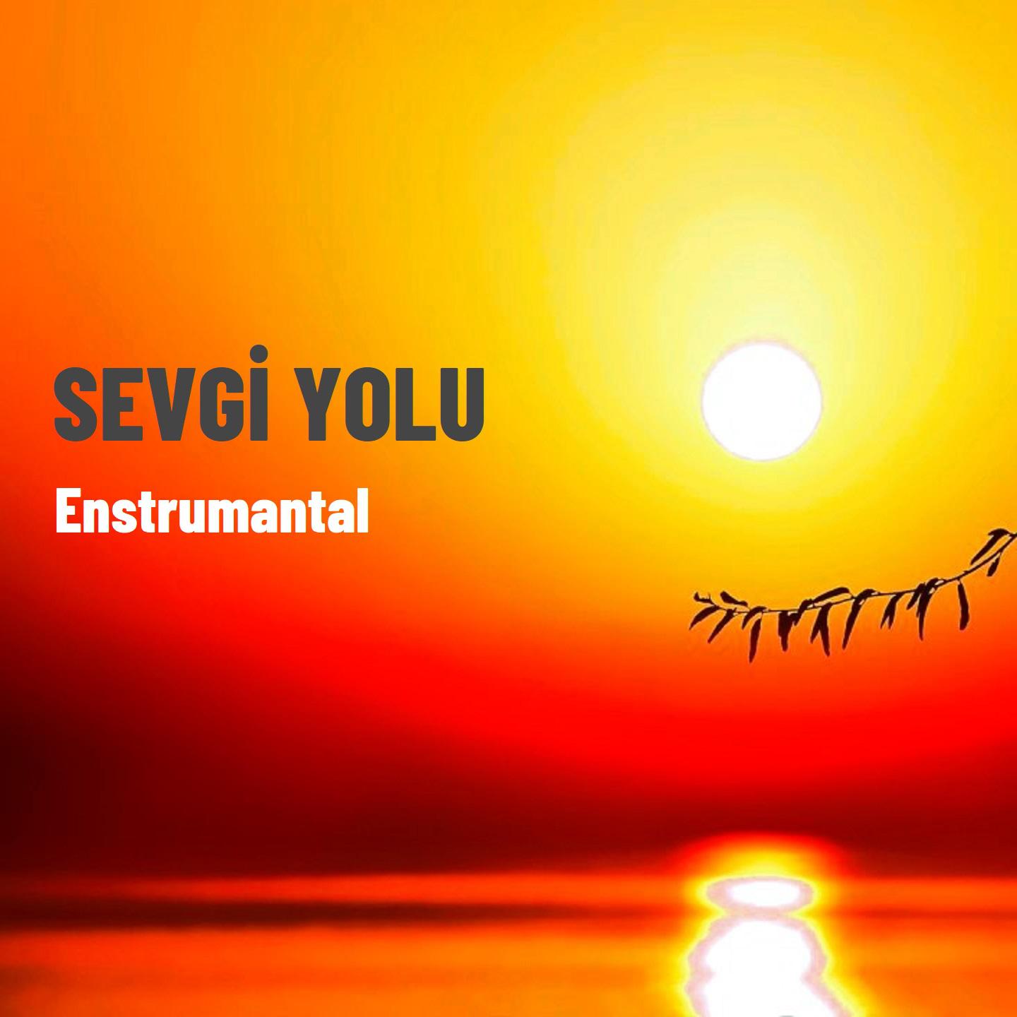 Постер альбома Sevgi Yolu