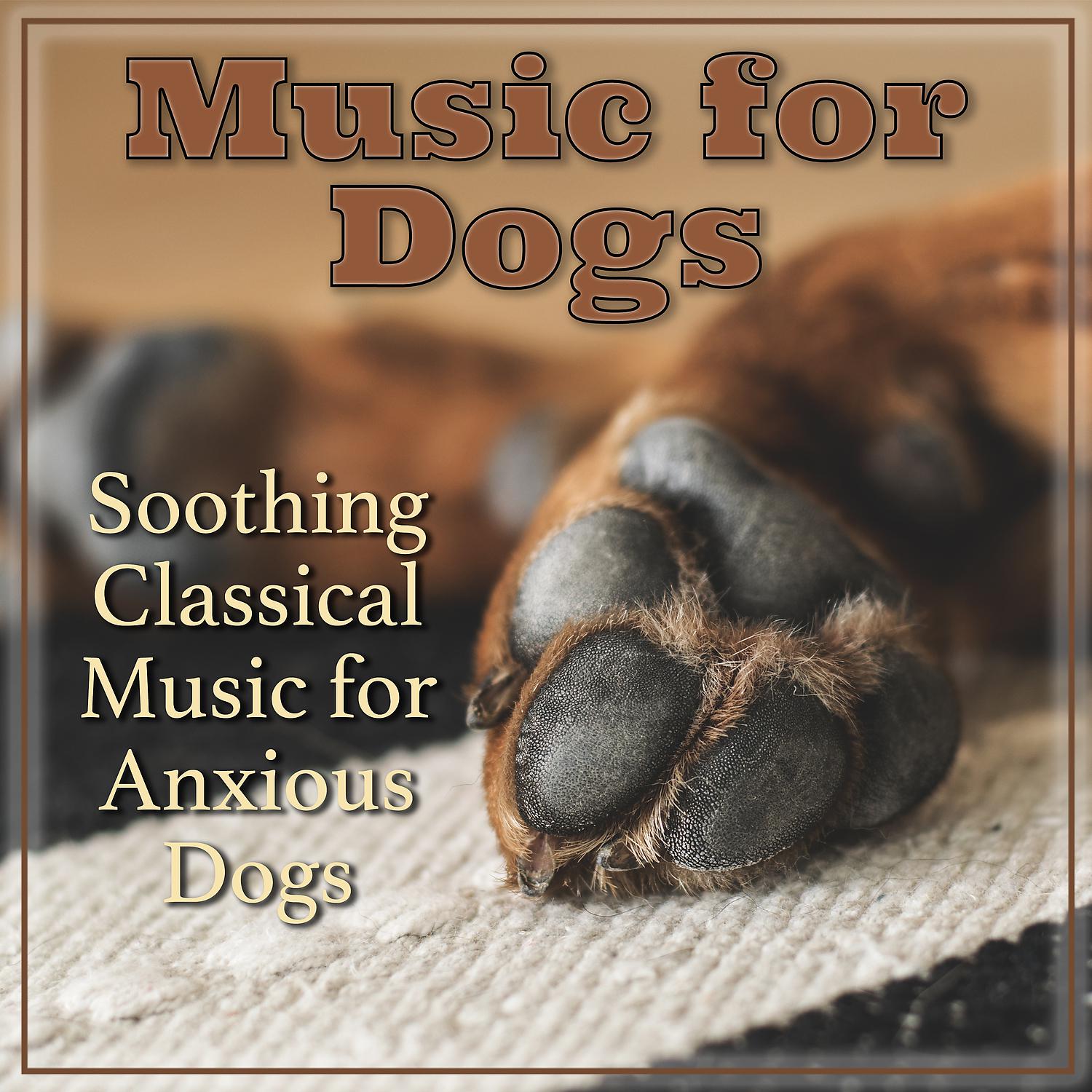 Постер альбома Music for Dogs: Soothing Classical Music for Anxious Dogs