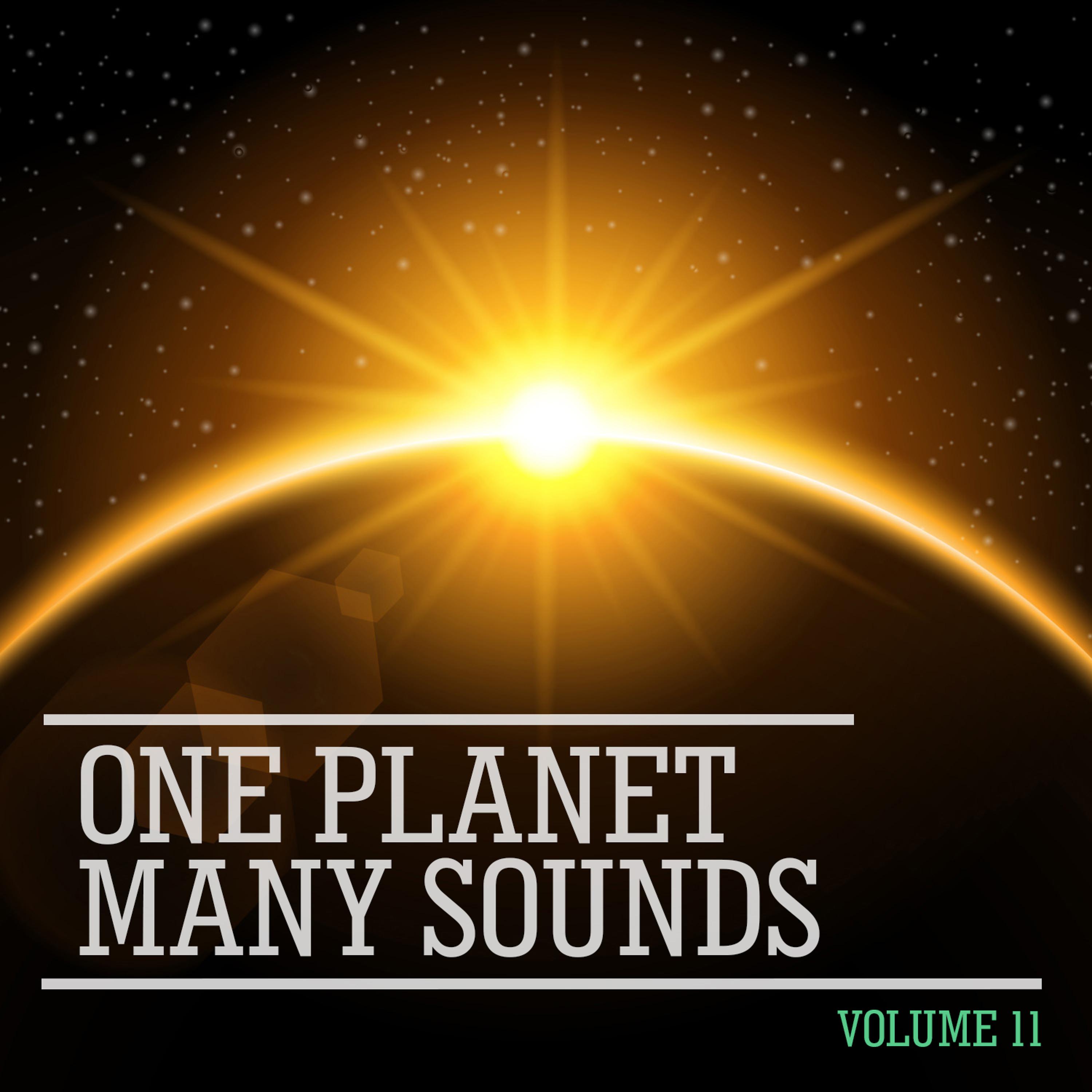 Постер альбома One Planet Many Sounds, Vol. 11