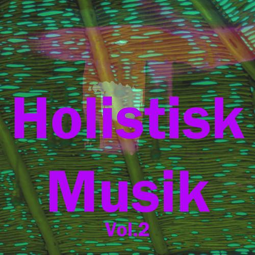 Постер альбома Holistisk Musik, Vol. 2