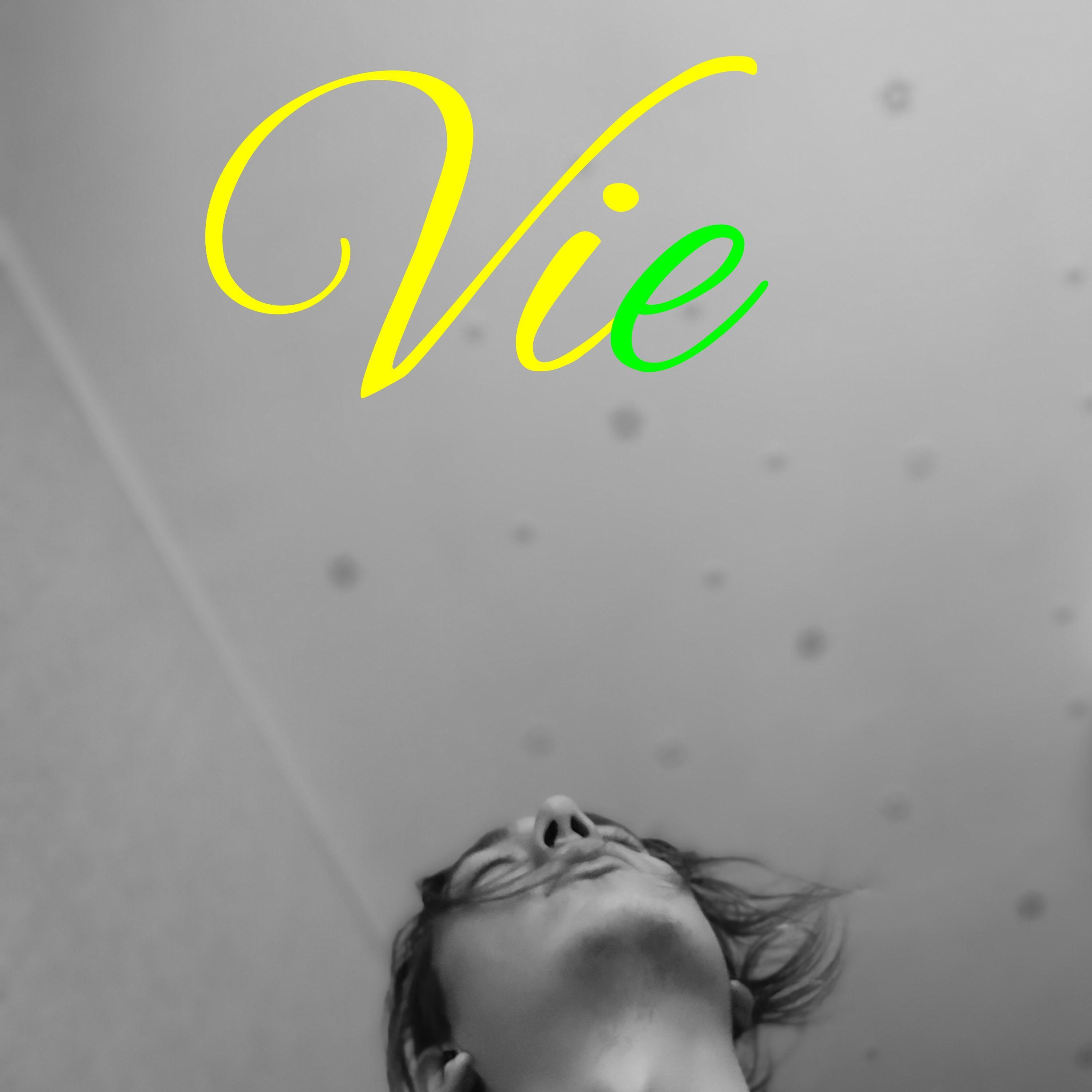 Постер альбома Vie
