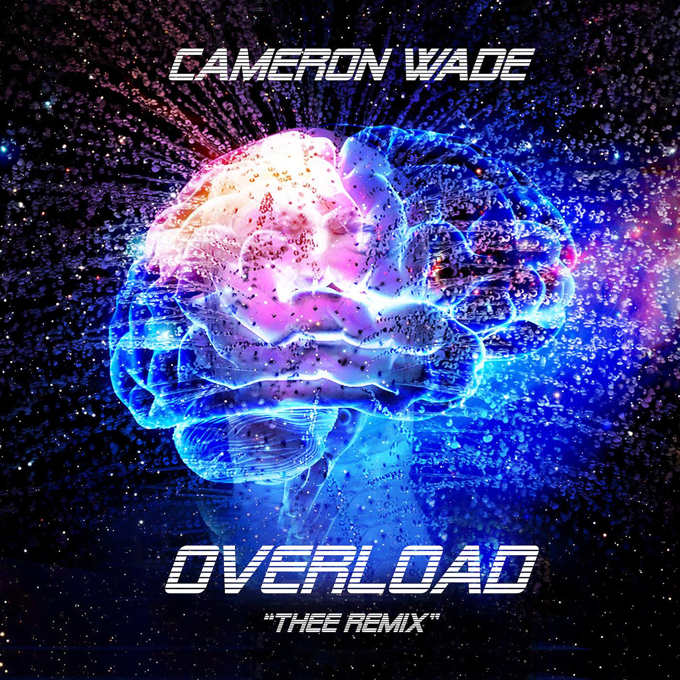Постер альбома Overload (Thee Remix)