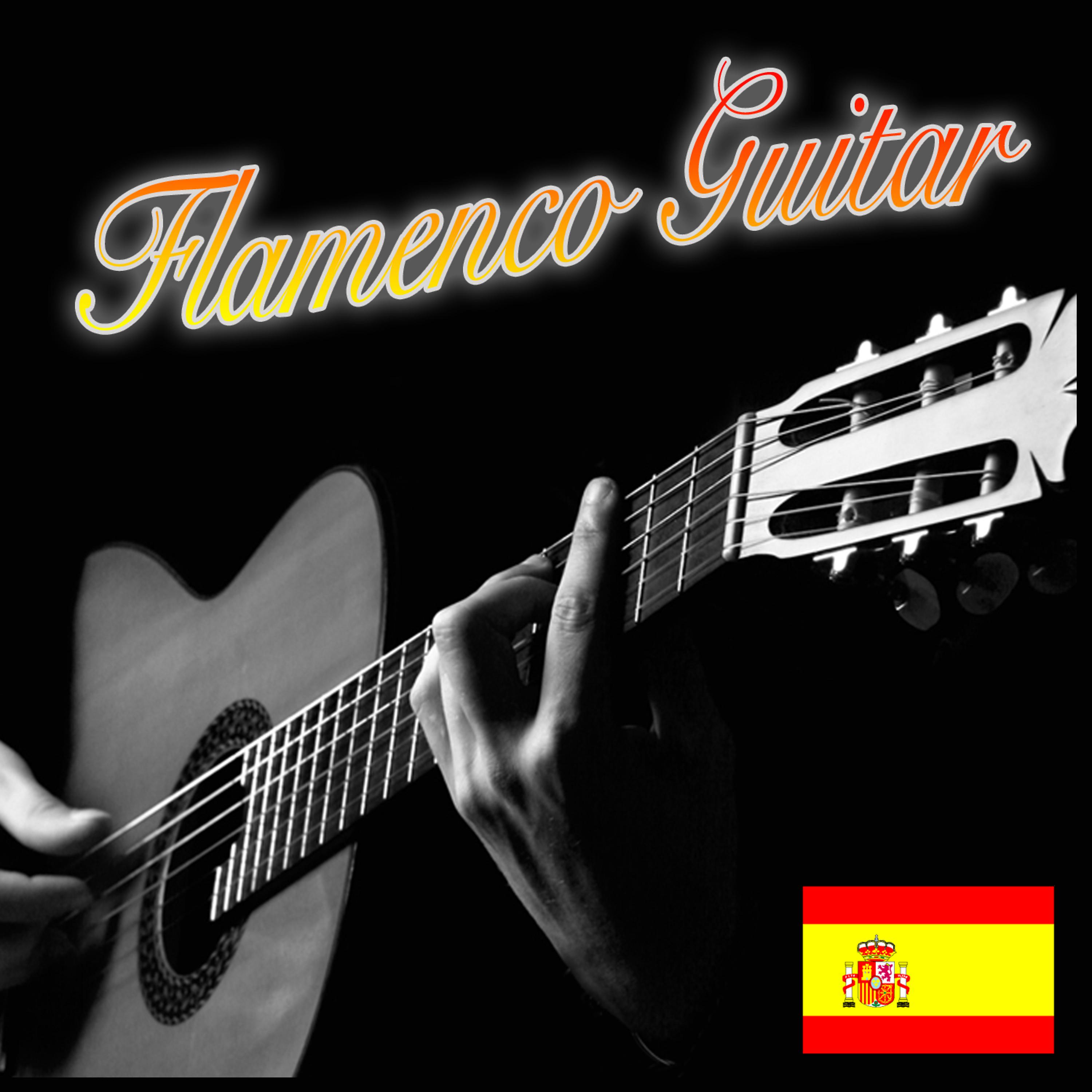 Постер альбома Flamenco Guitar