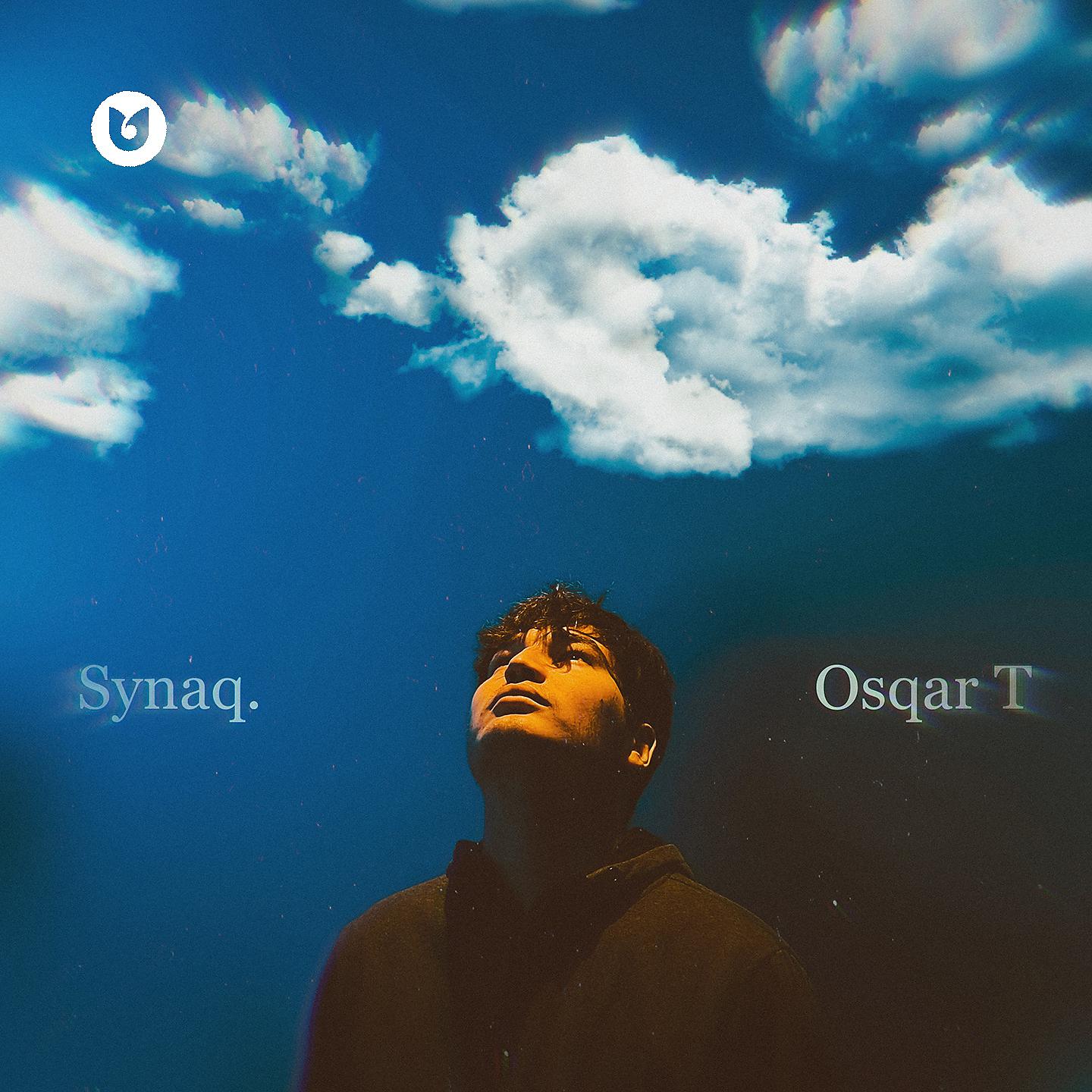 Постер альбома Synaq