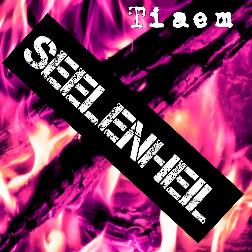 Постер альбома Seelenheil