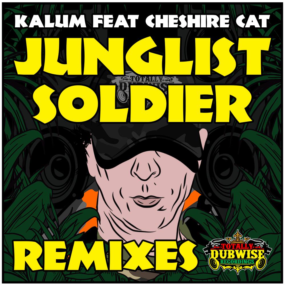 Постер альбома Junglist Soldier Remixes