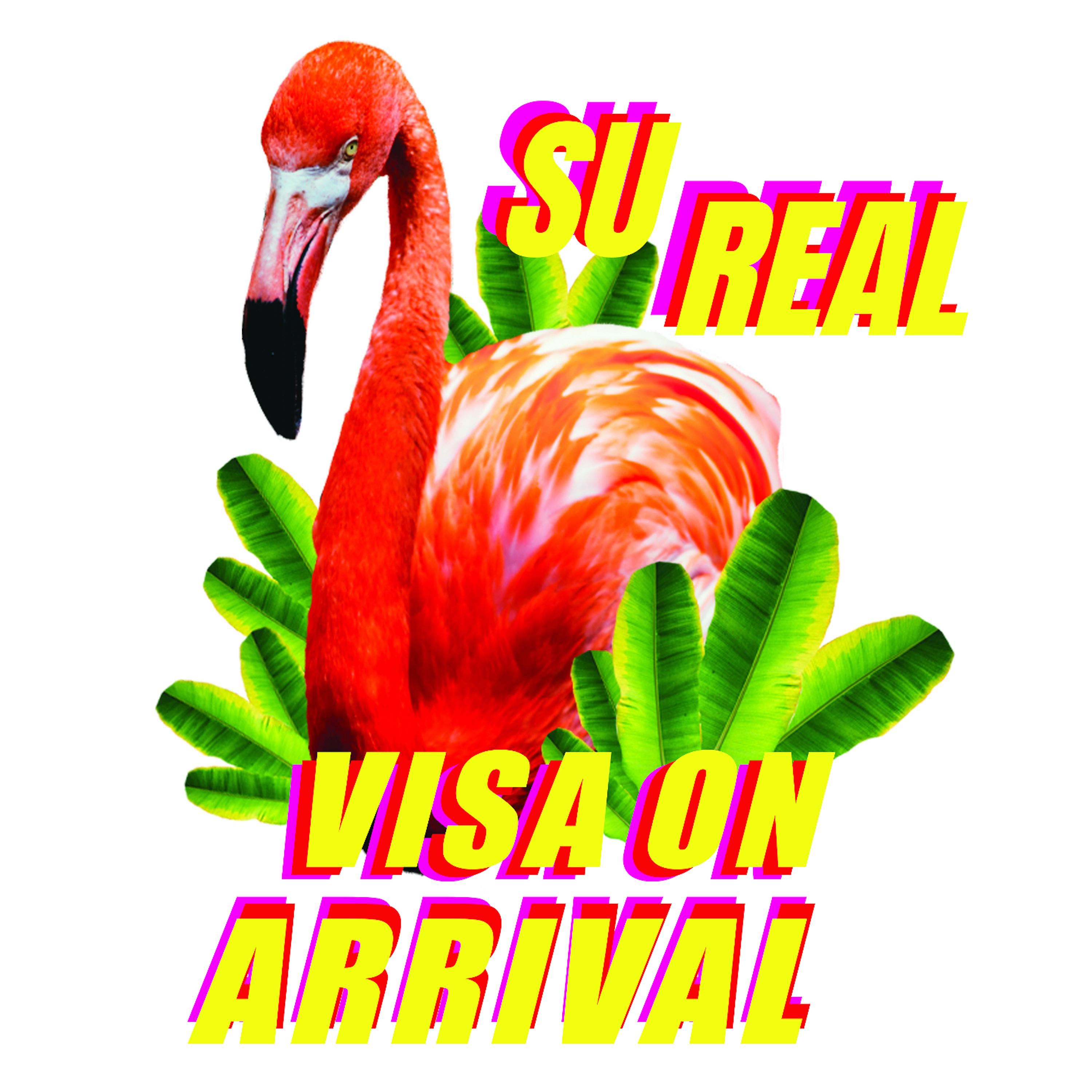 Постер альбома Visa on Arrival