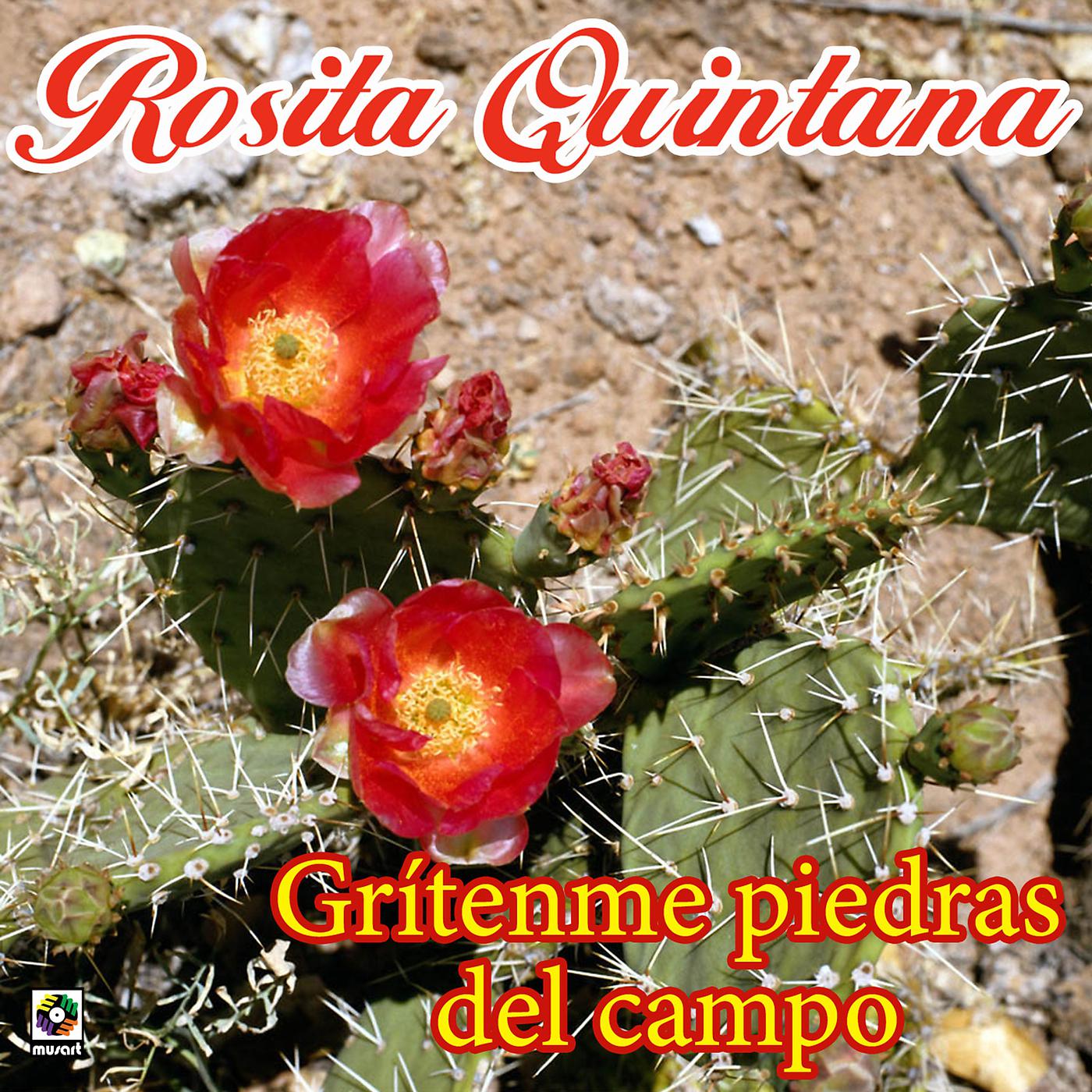Постер альбома Grítenme Piedras Del Campo