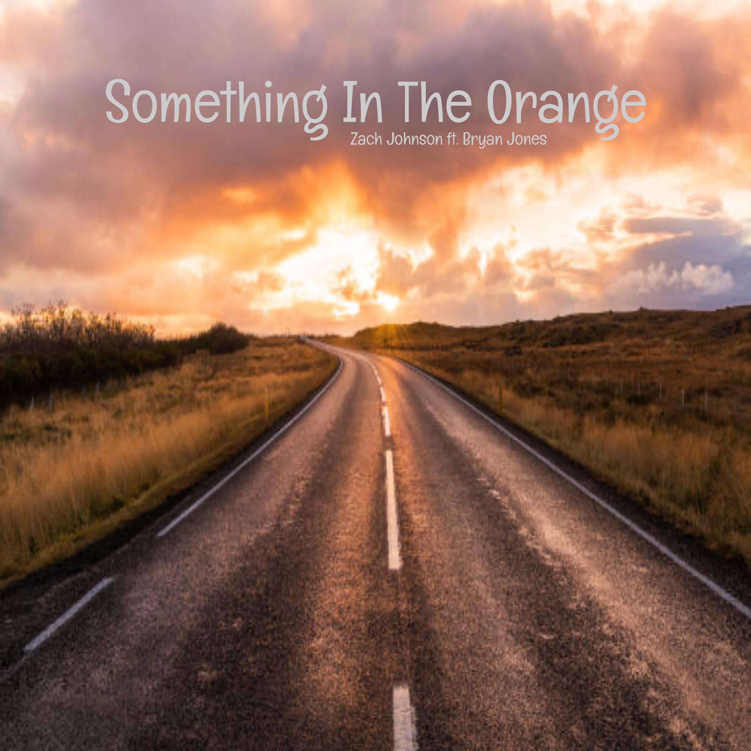 Постер альбома Something In The Orange (feat. Bryan Jones)
