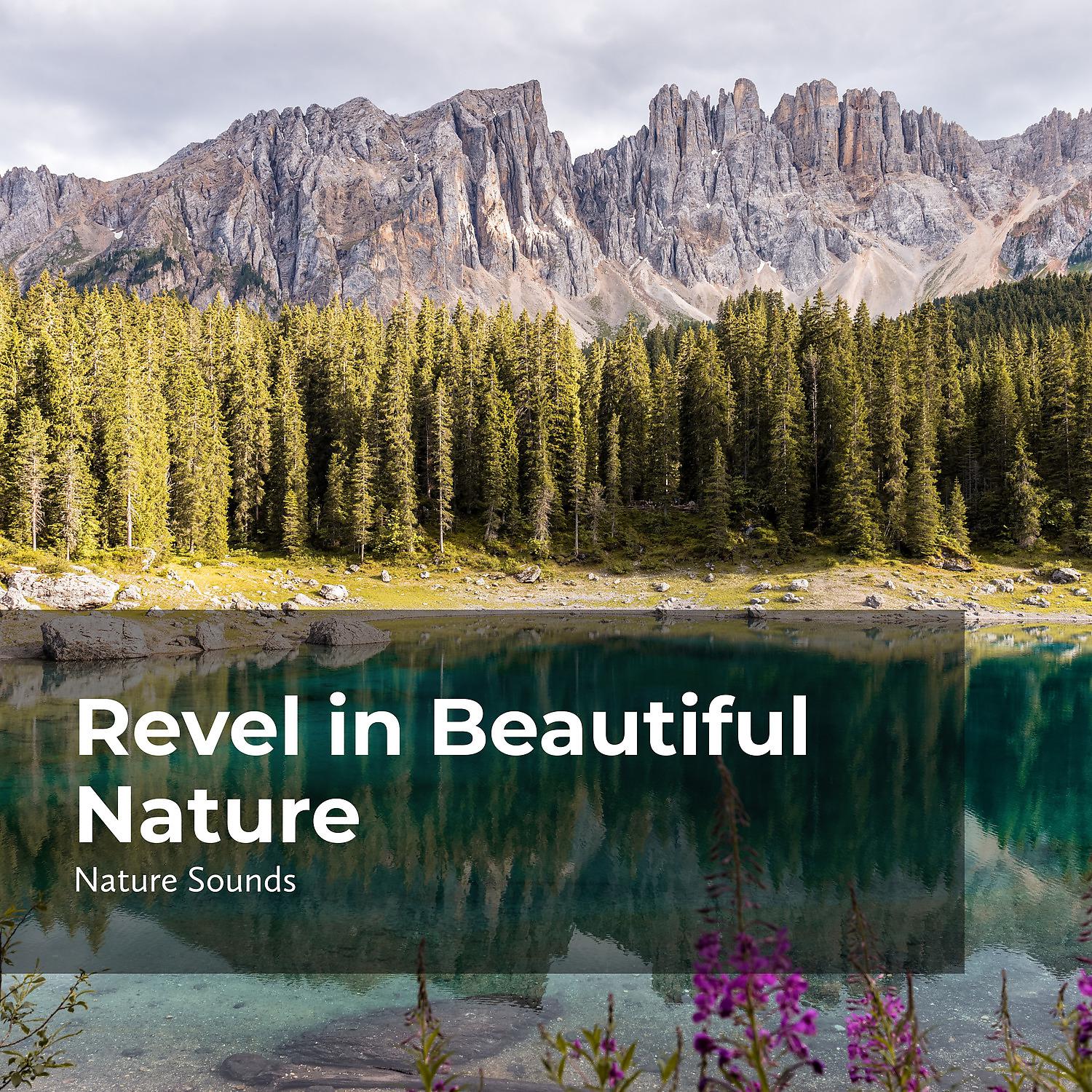 Постер альбома Revel in Beautiful Nature
