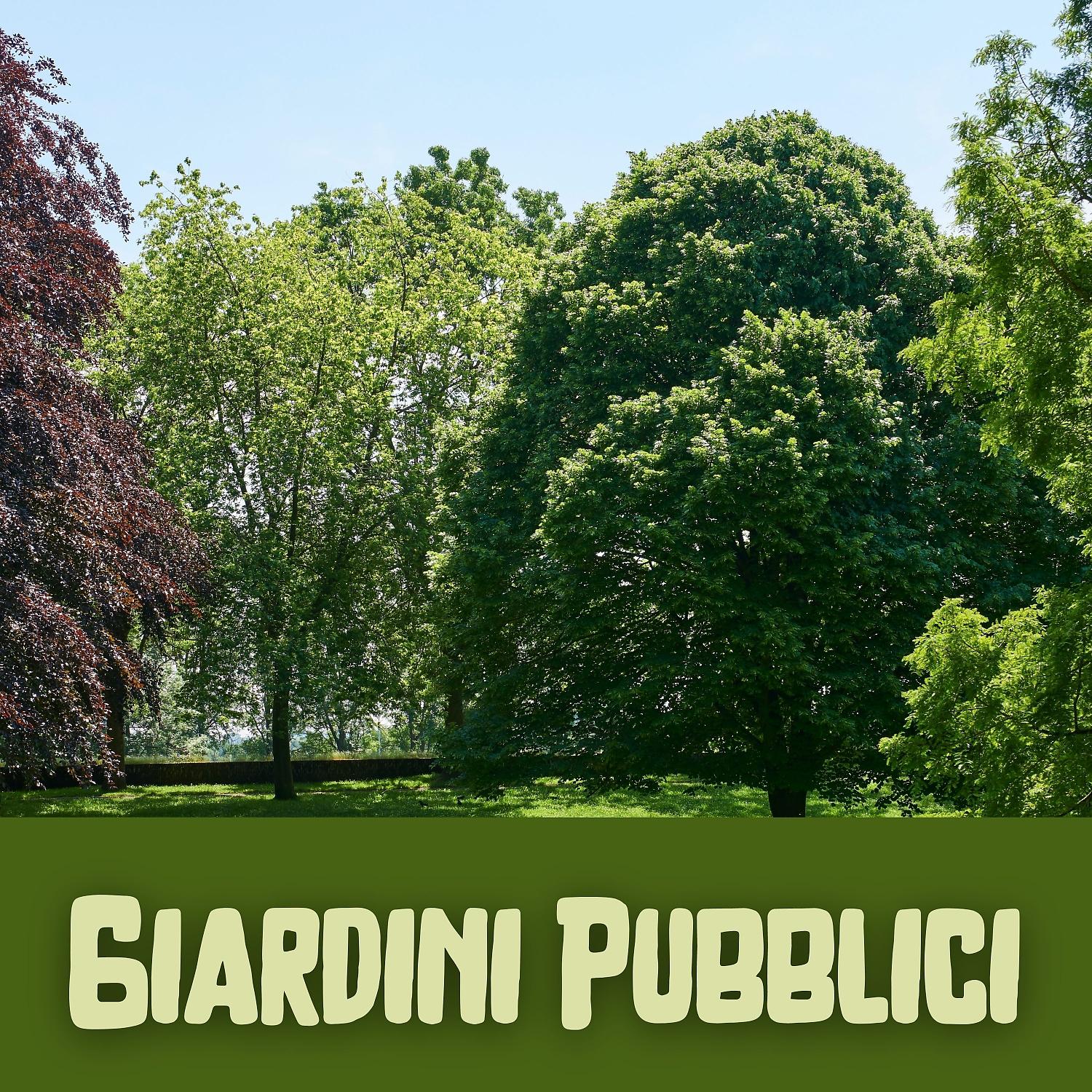Постер альбома Giardini Pubblici