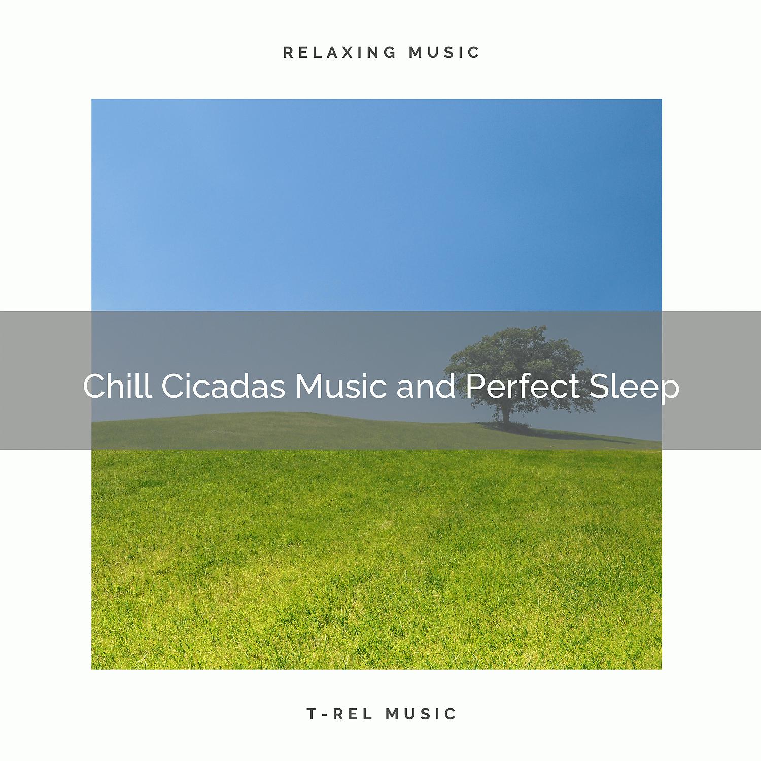Постер альбома 2020 Best: Chill Cicadas Music and Perfect Sleep