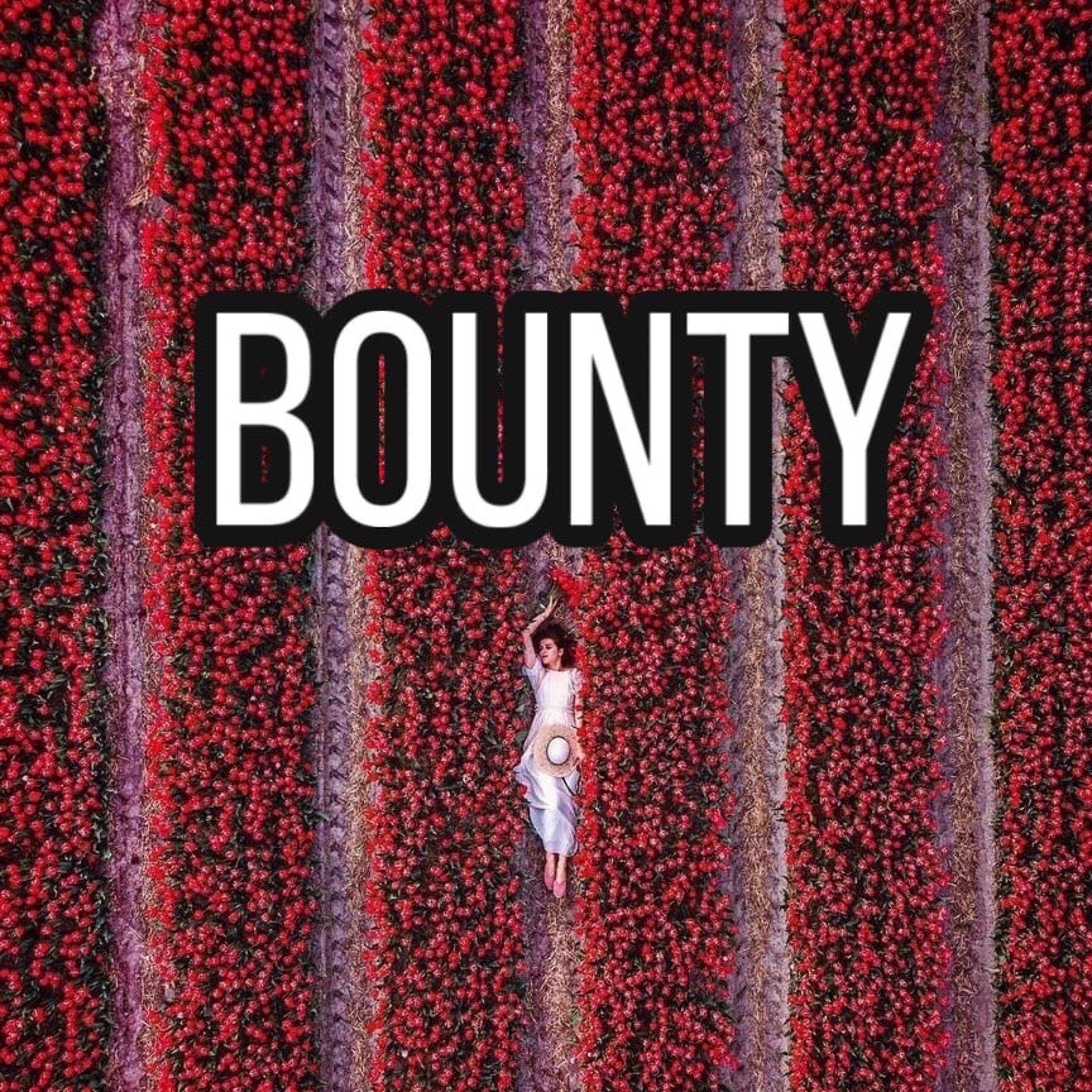 Постер альбома Bounty