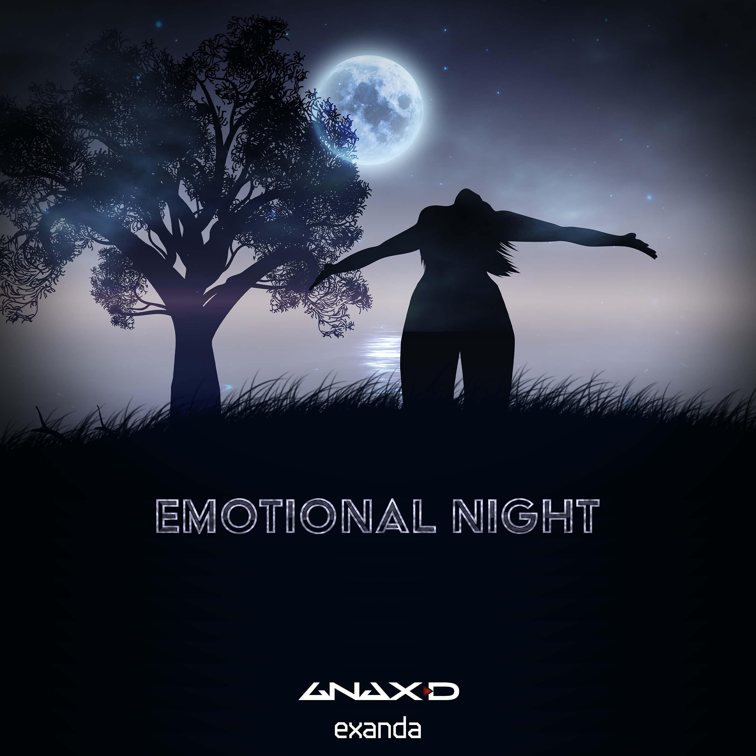 Постер альбома Emotional Night
