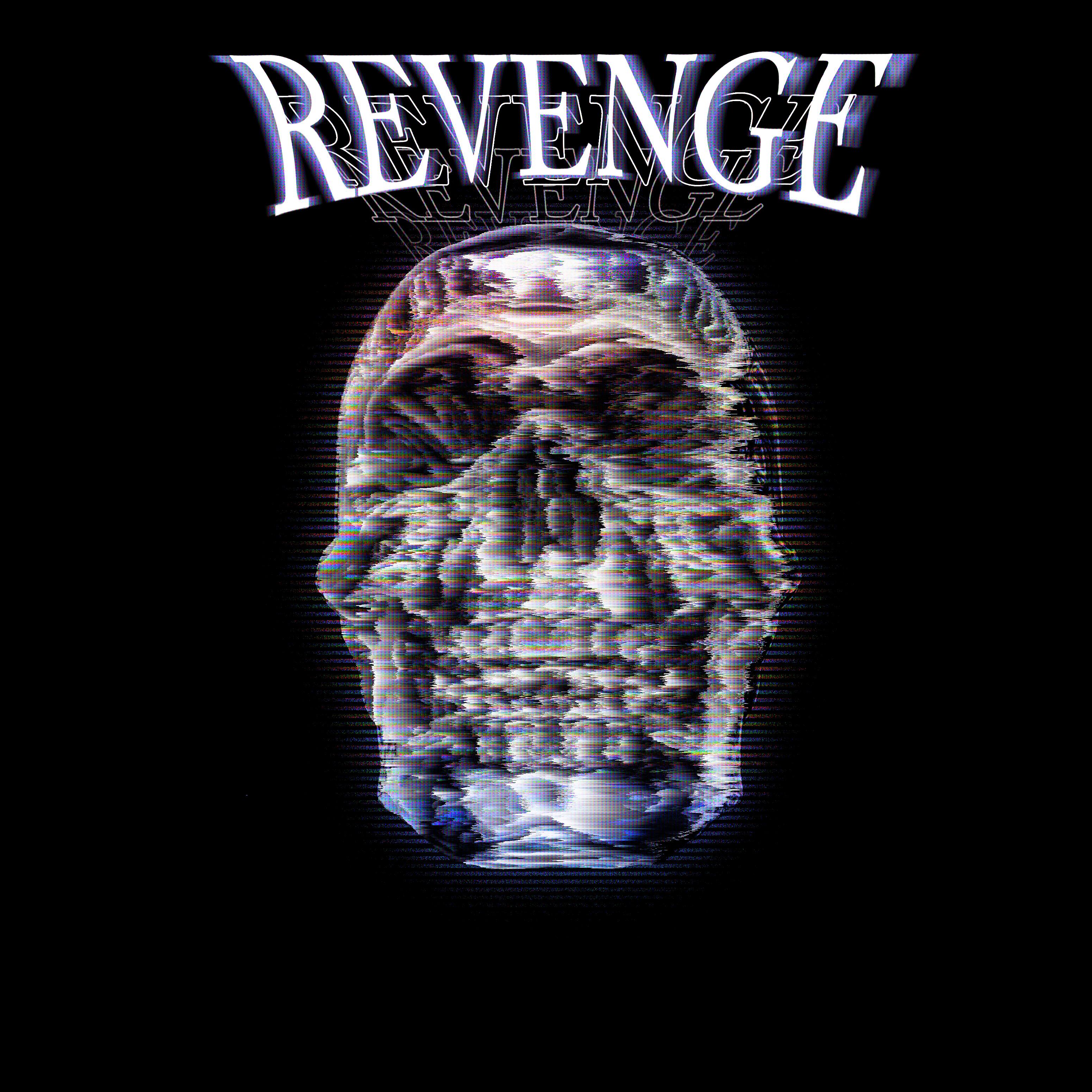 Постер альбома Revenge