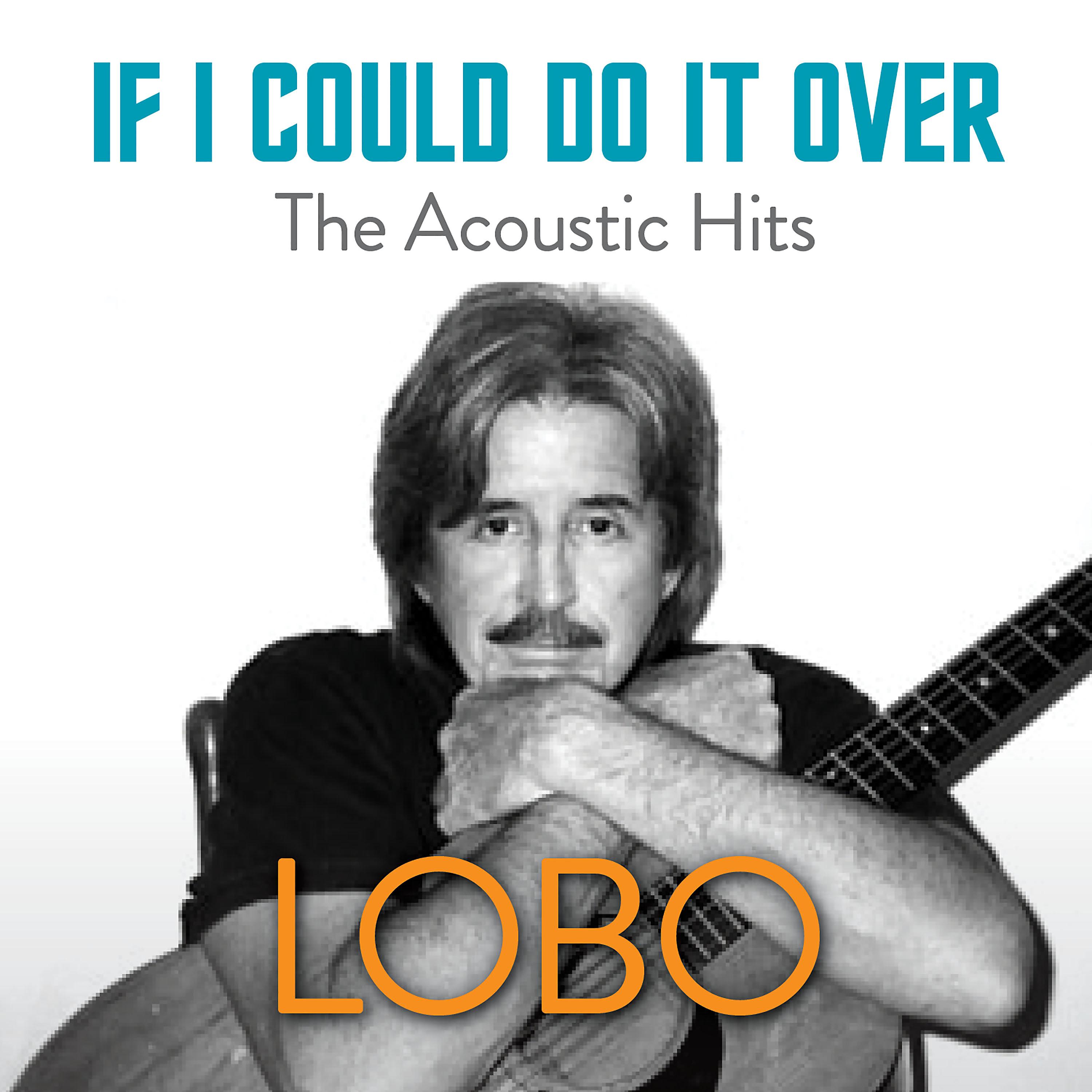 Постер альбома If I Could Do It Over The Acoustic Hits