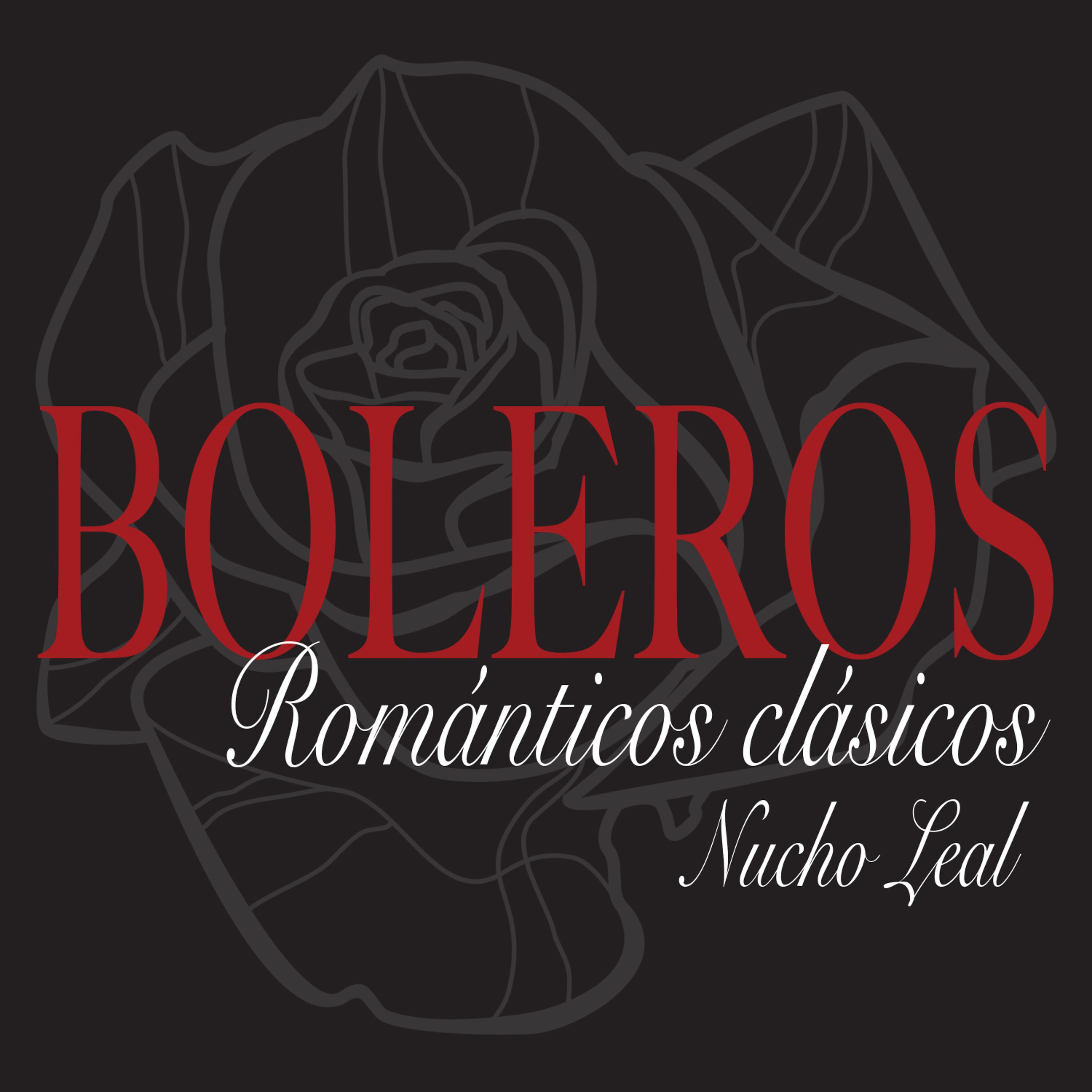 Постер альбома Boleros Románticos Clásicos
