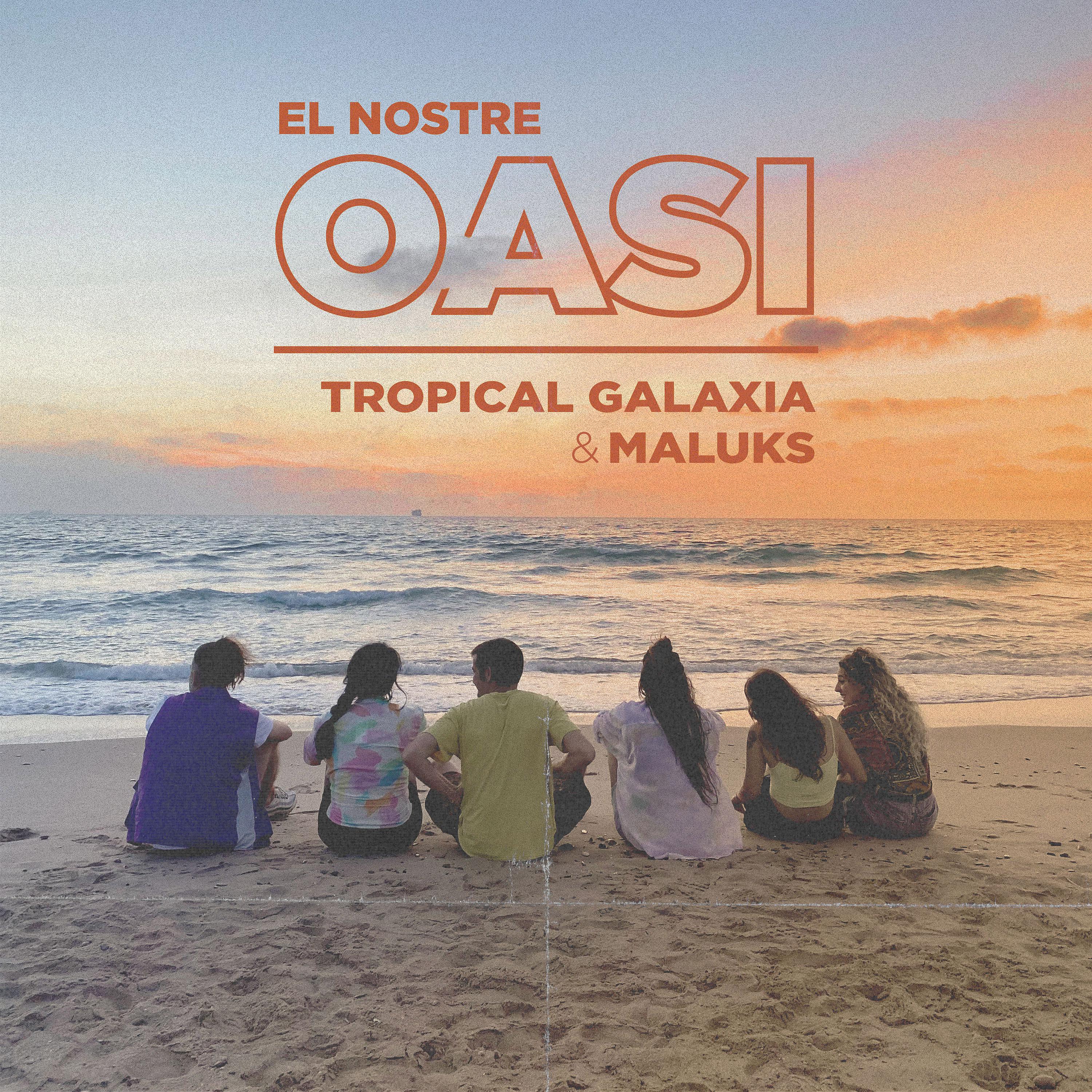 Постер альбома El nostre oasi