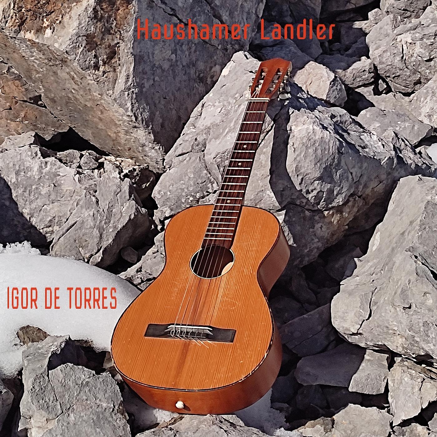 Постер альбома Haushamer Landler