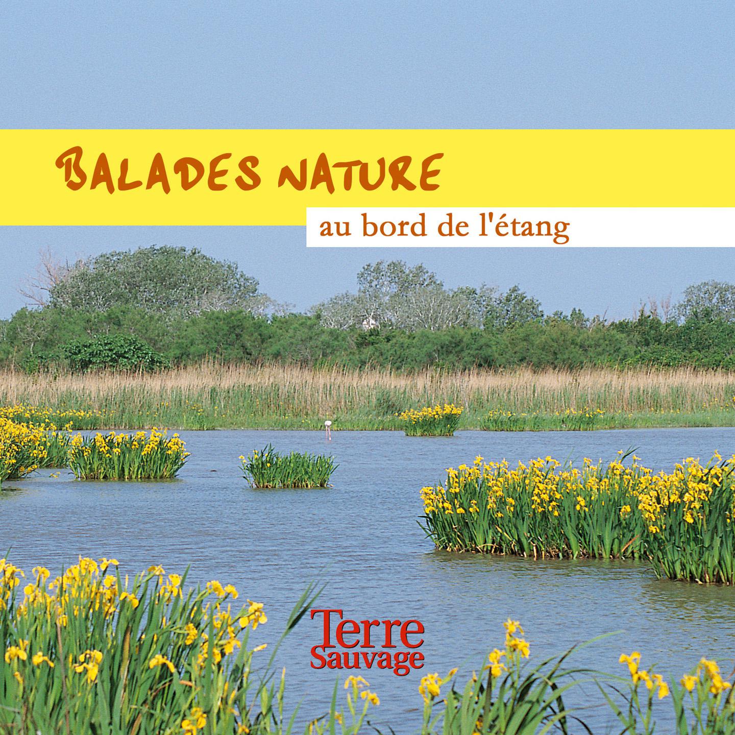 Постер альбома Balades nature au bord de l'étang