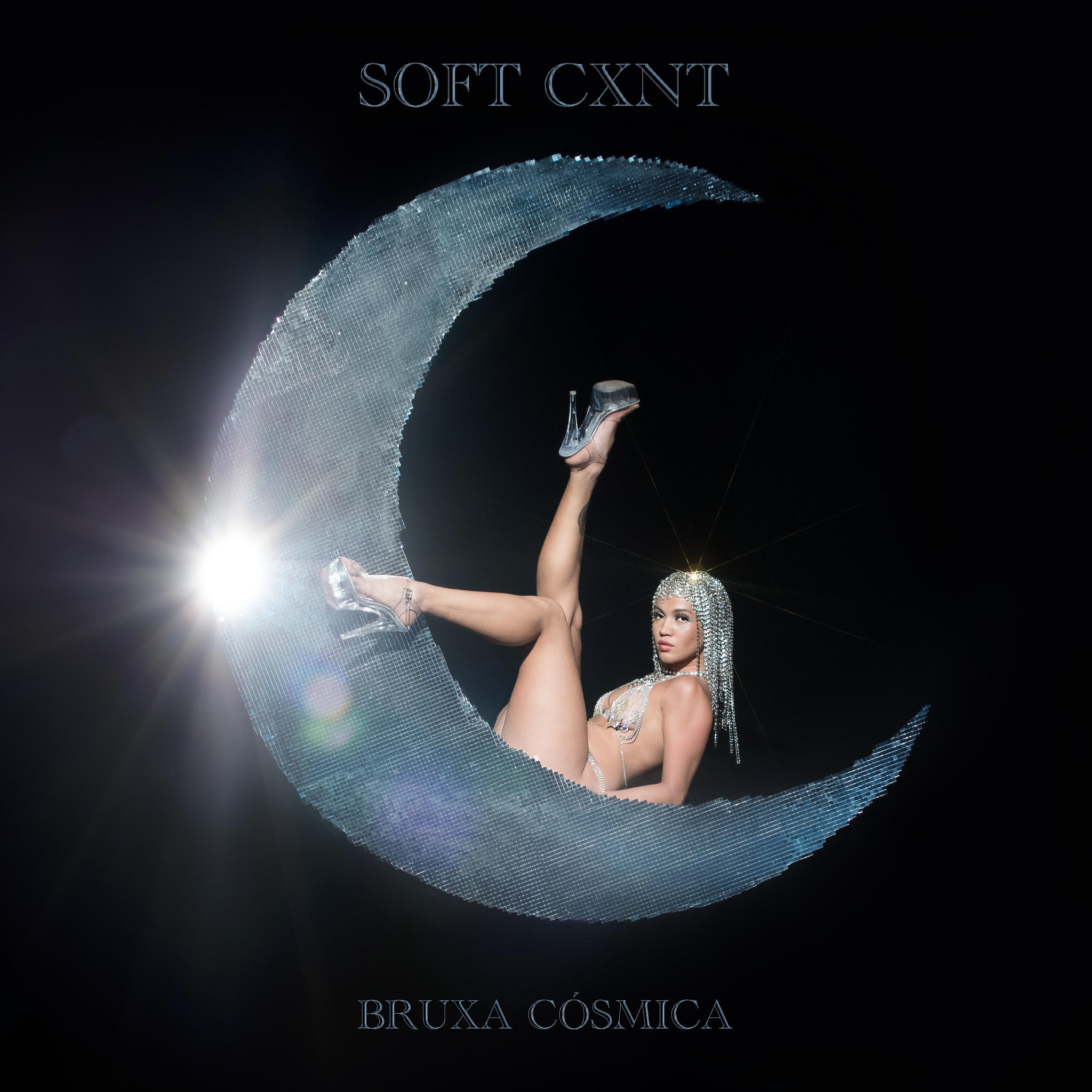 Постер альбома Soft Cxnt