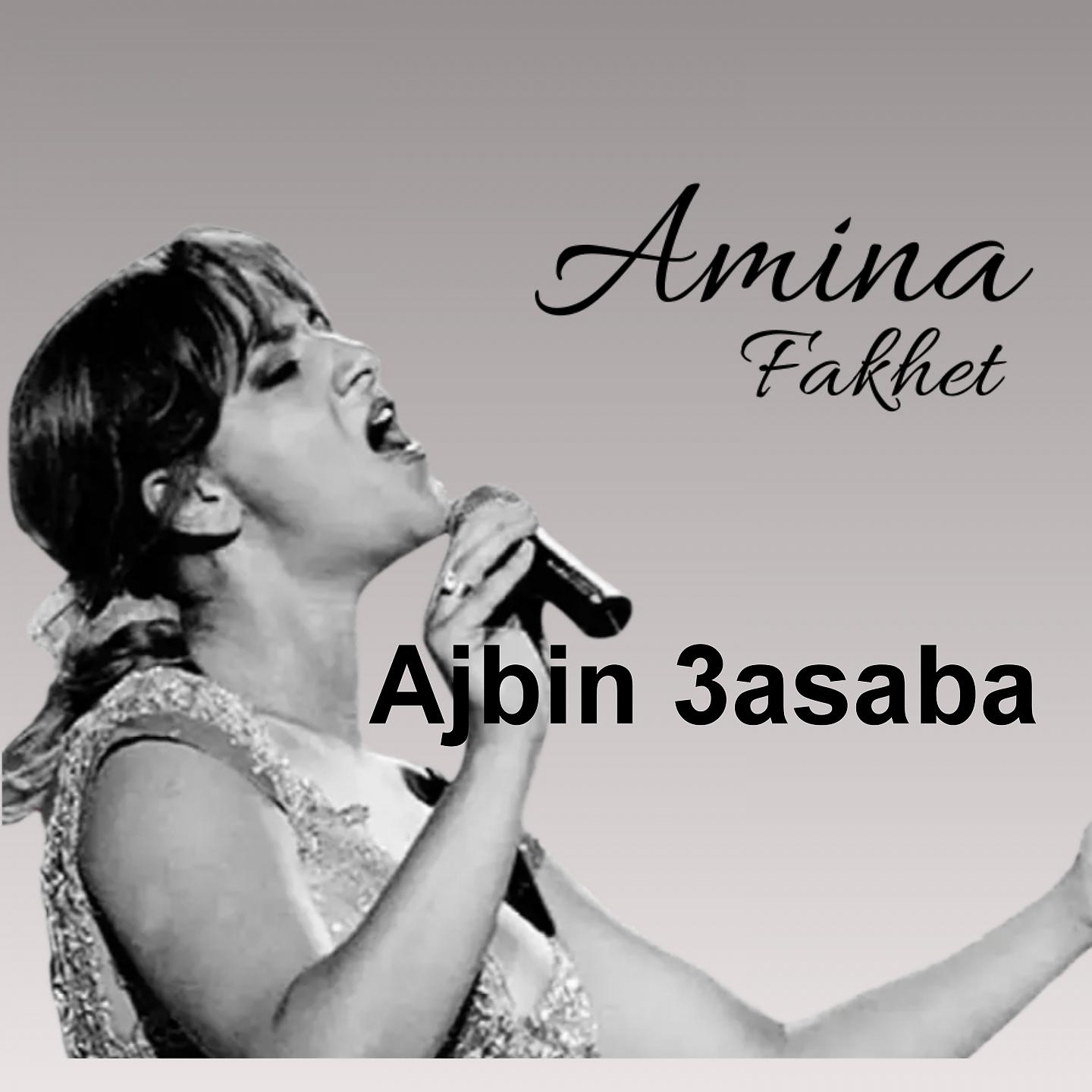 Постер альбома Ajbin 3asaba