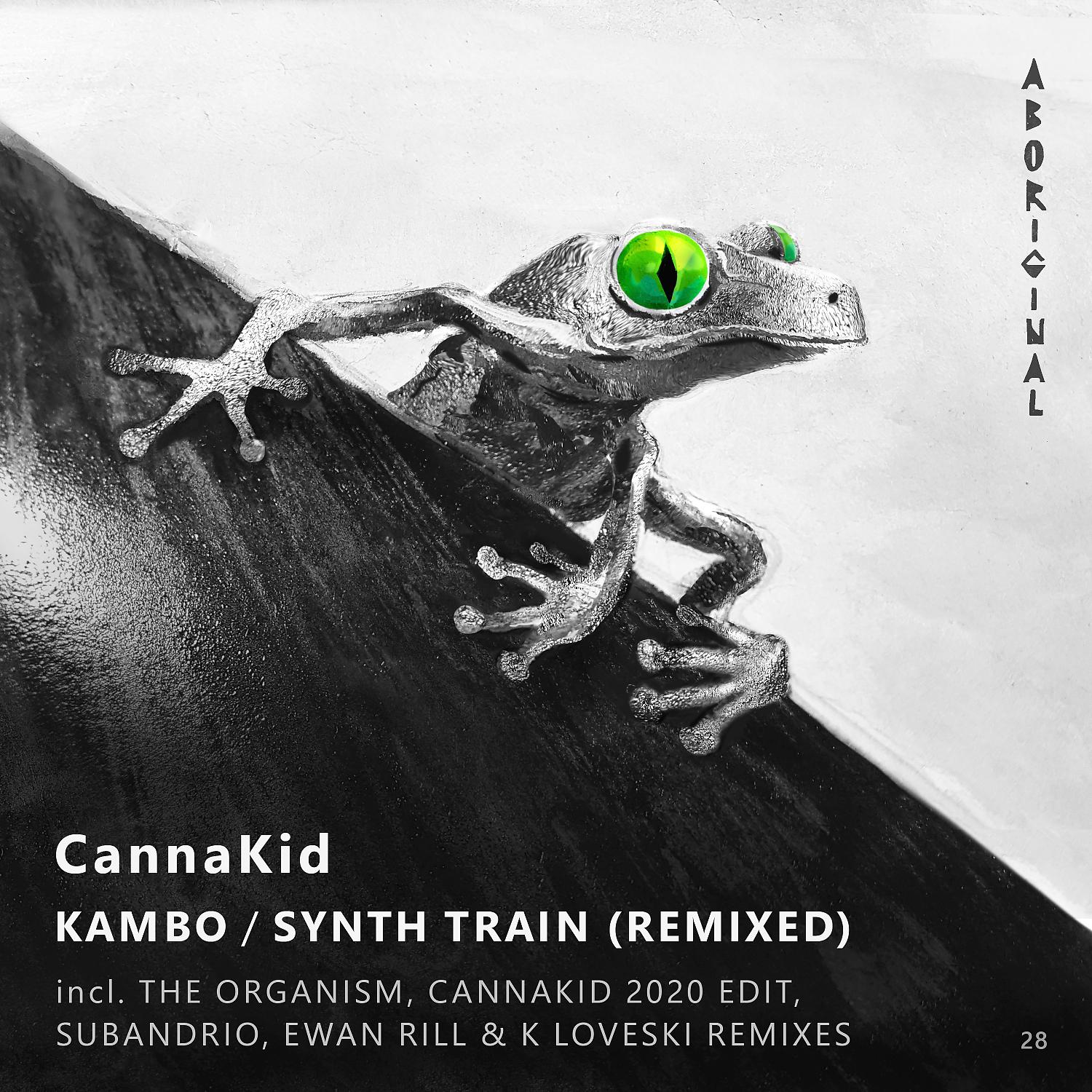 Постер альбома Kambo / Synth Train (Remixed)